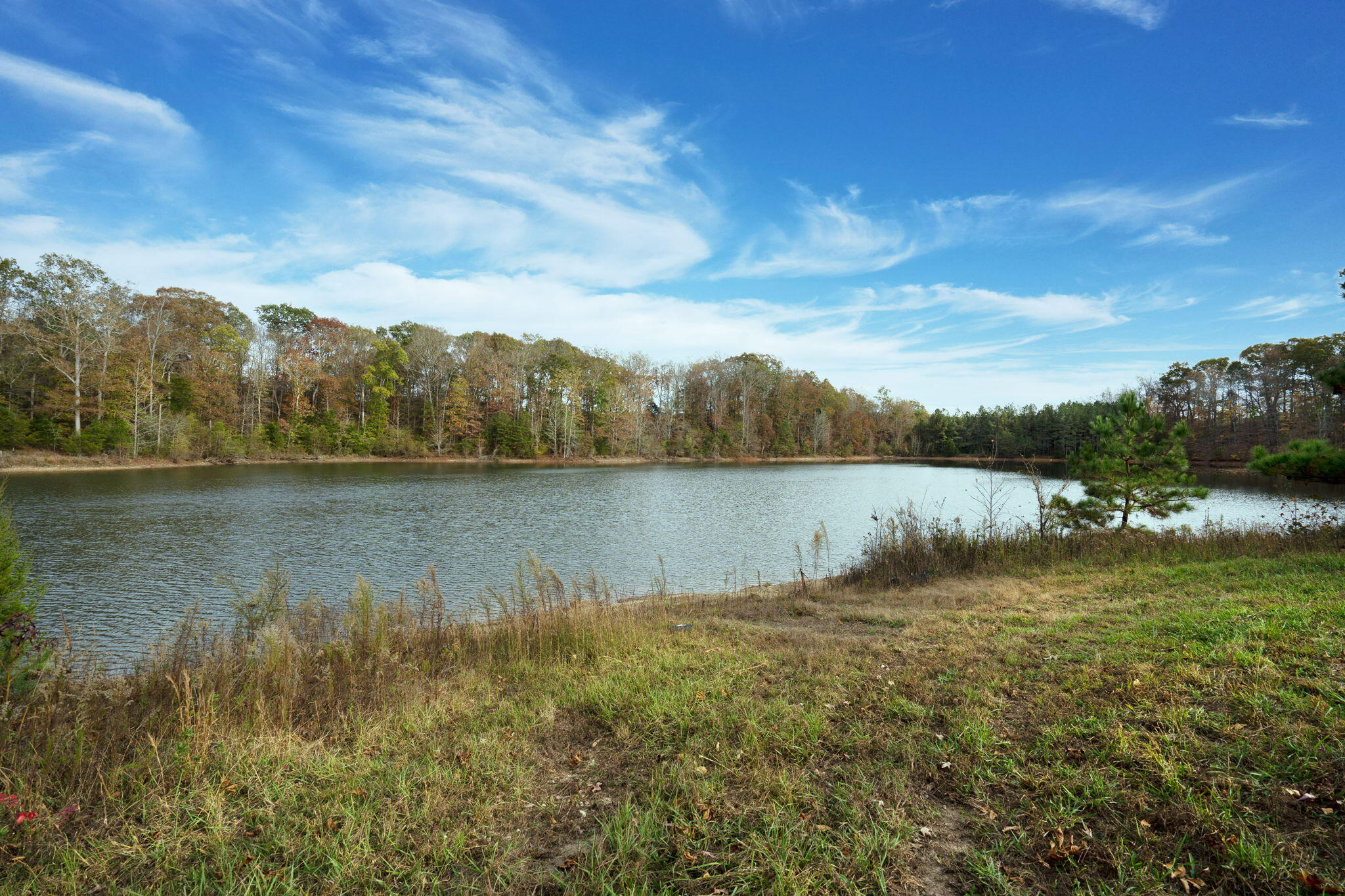 311 County Road 730, Riceville, Tennessee image 8