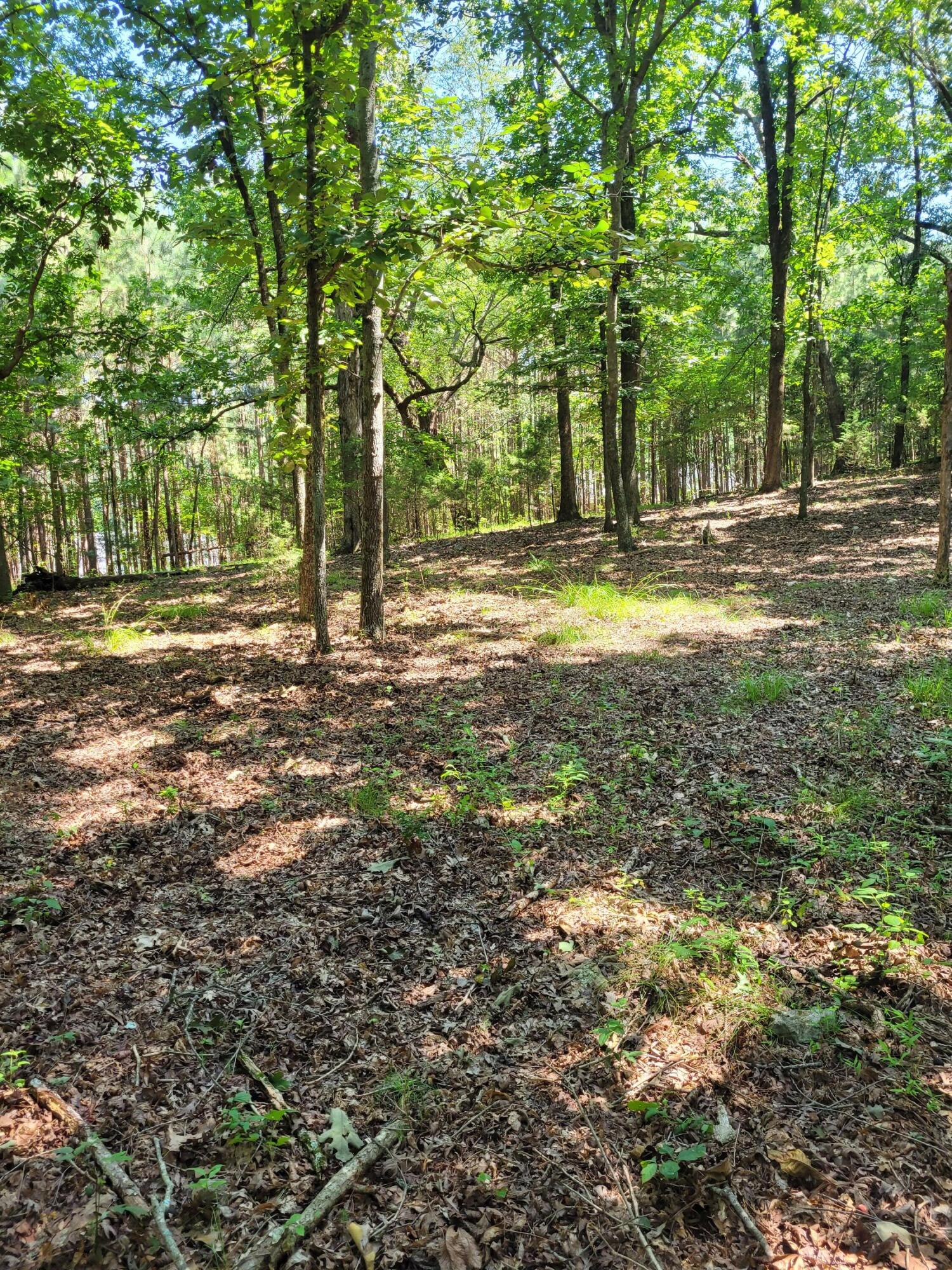 7000 SW Three Notch Road #20, Ringgold, Georgia image 10