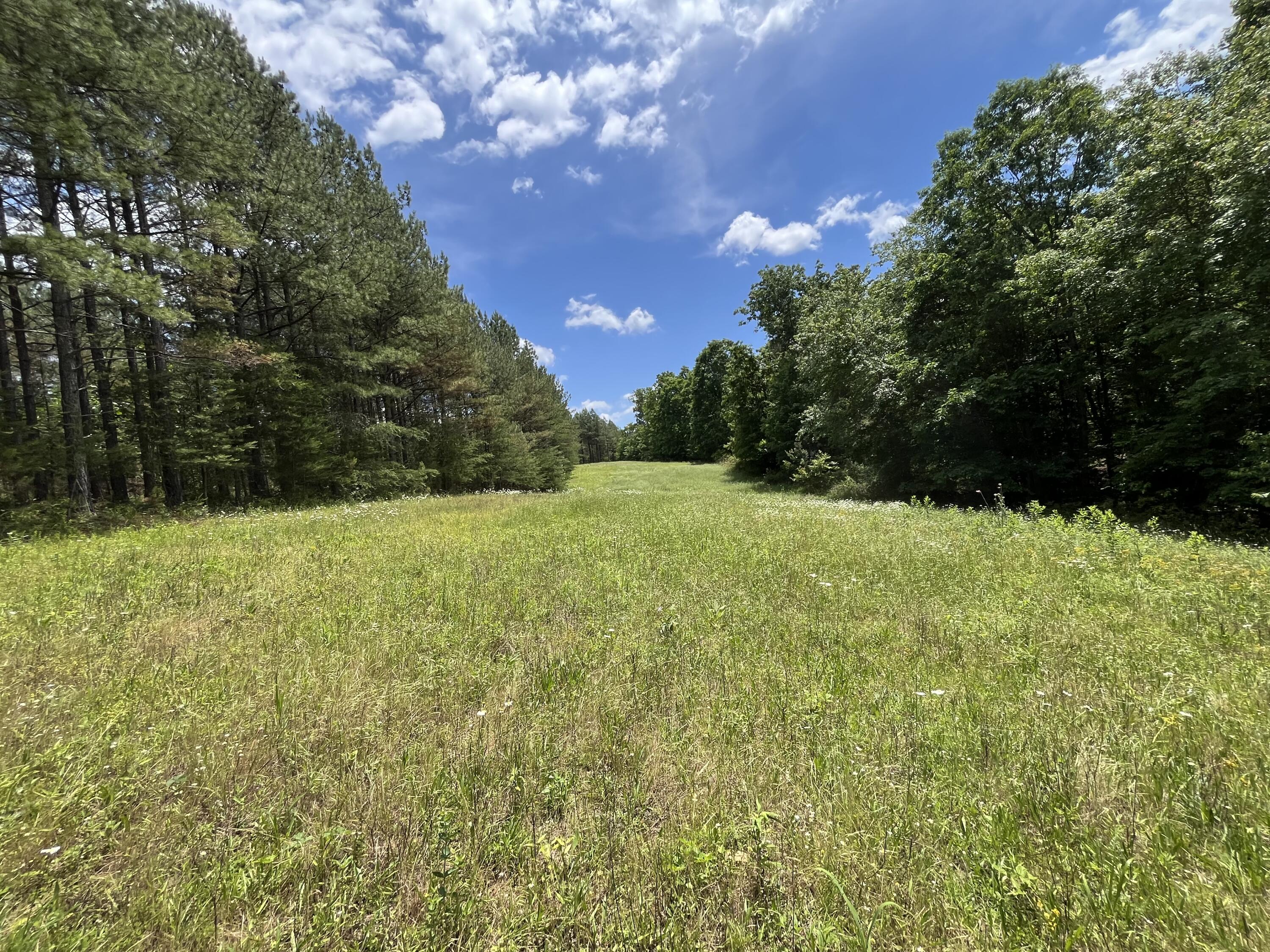 View Dunlap, TN 37327 land