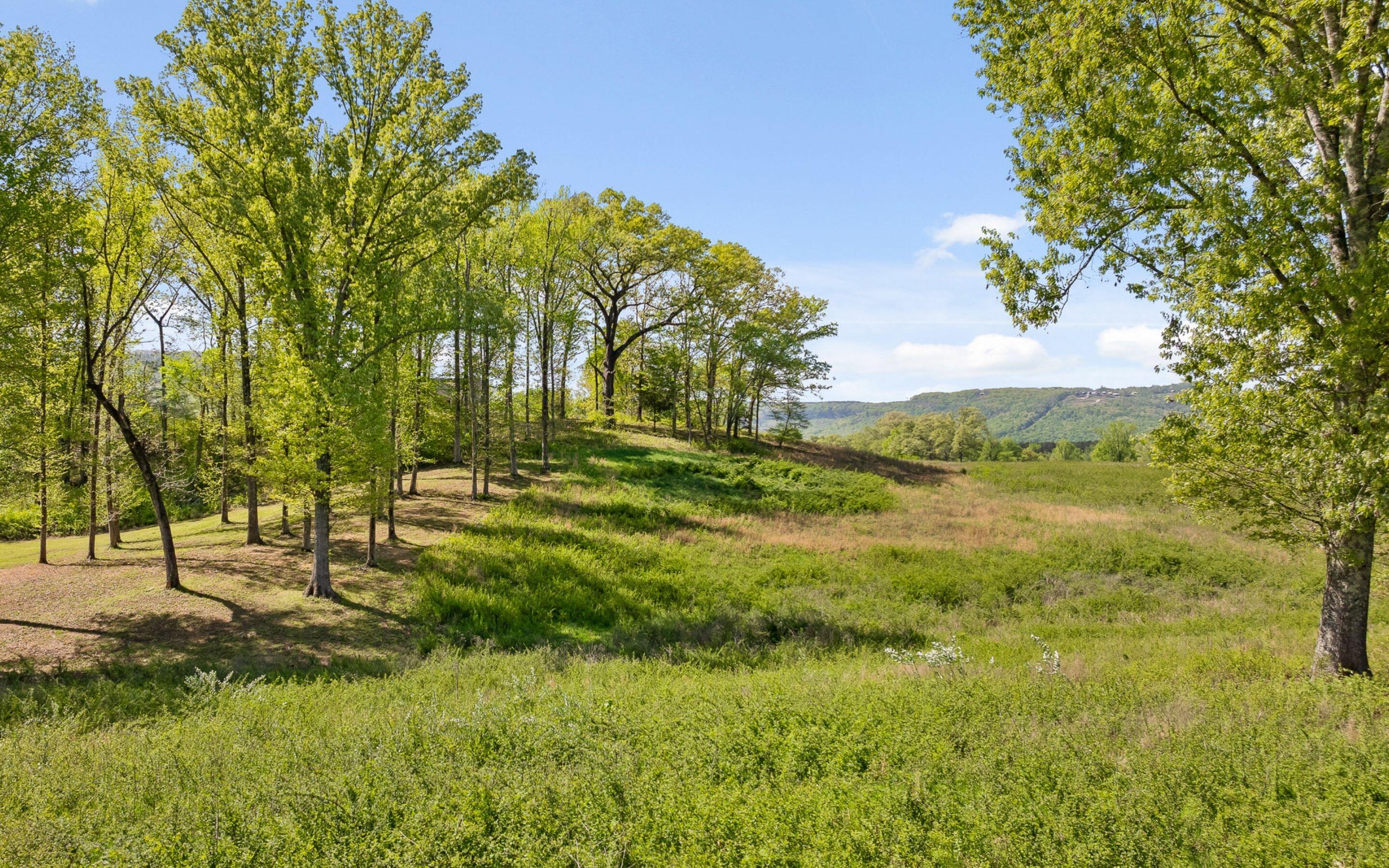 Edgewater Way #144, Jasper, Tennessee image 14