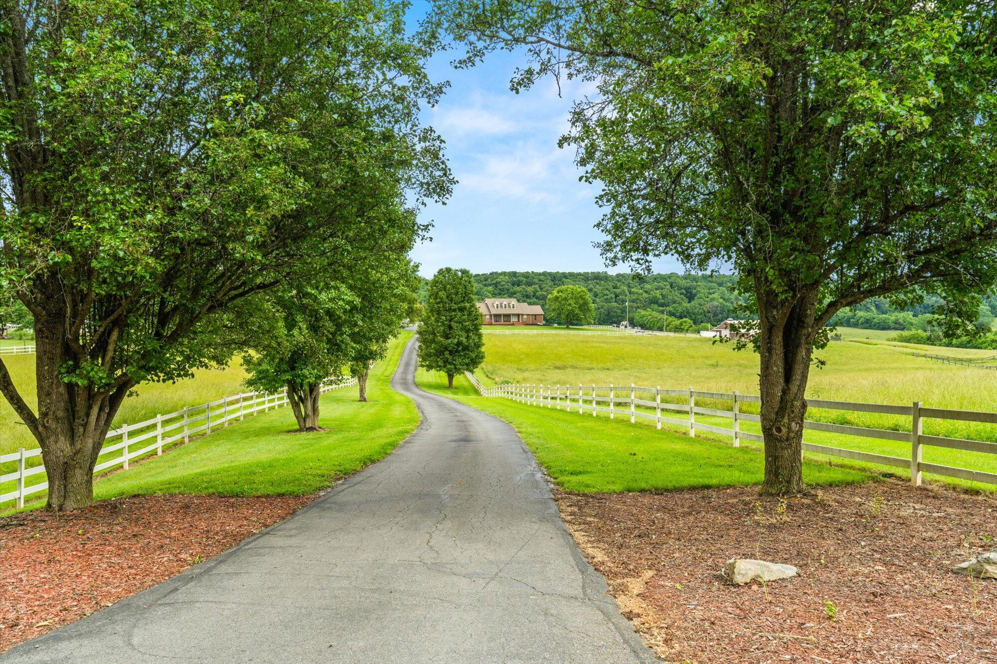 727 E Dumplin Valley Road, Jefferson City, Tennessee image 50