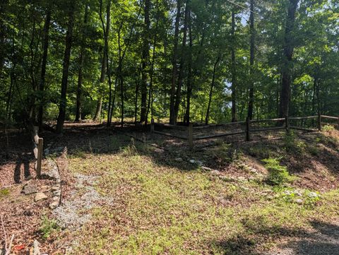 Photo of 190 Fawnwood Drive, Spring City, TN 37381 (MLS # 1535113)