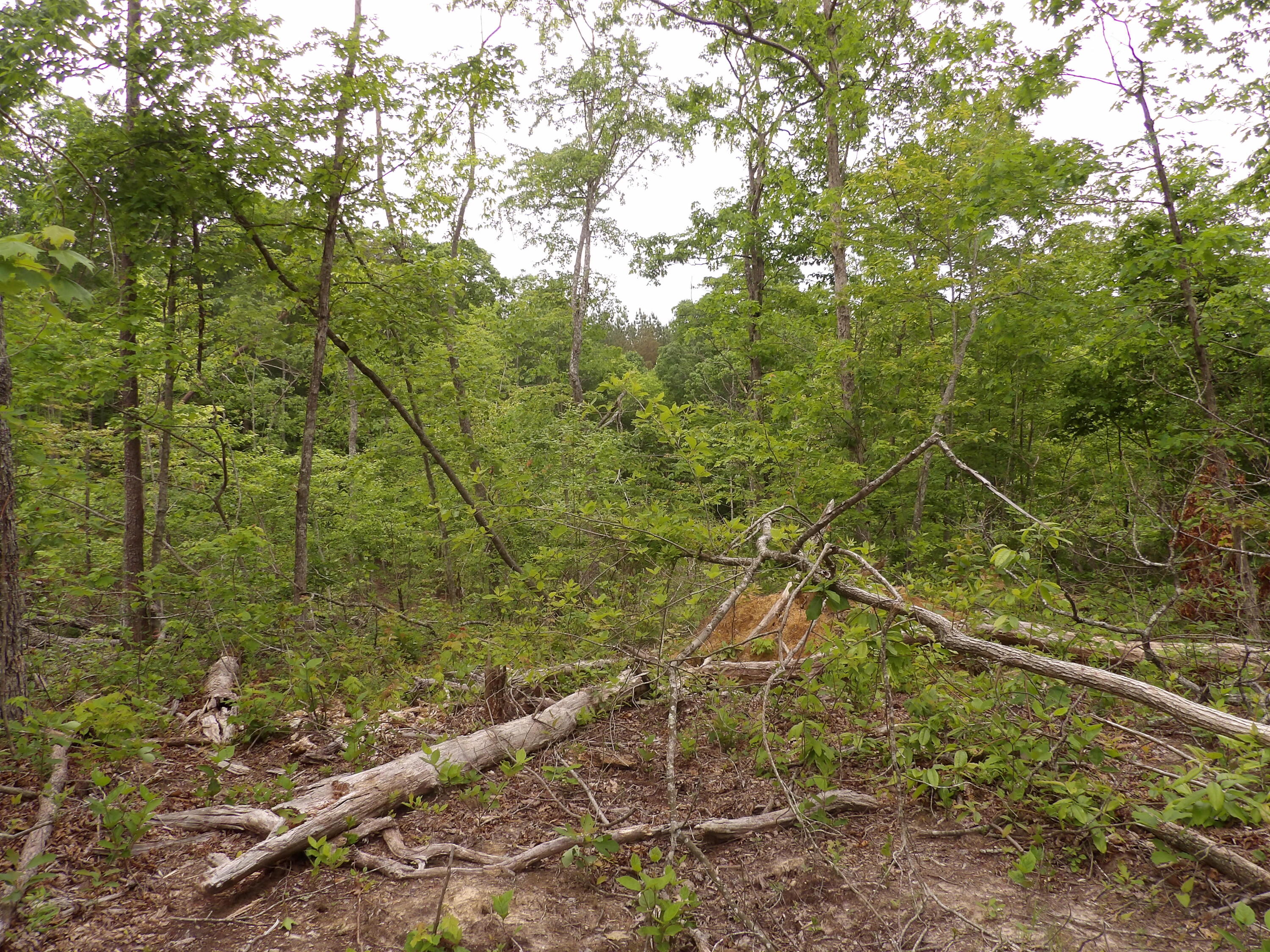000 Overview Road, Crossville, Tennessee image 14