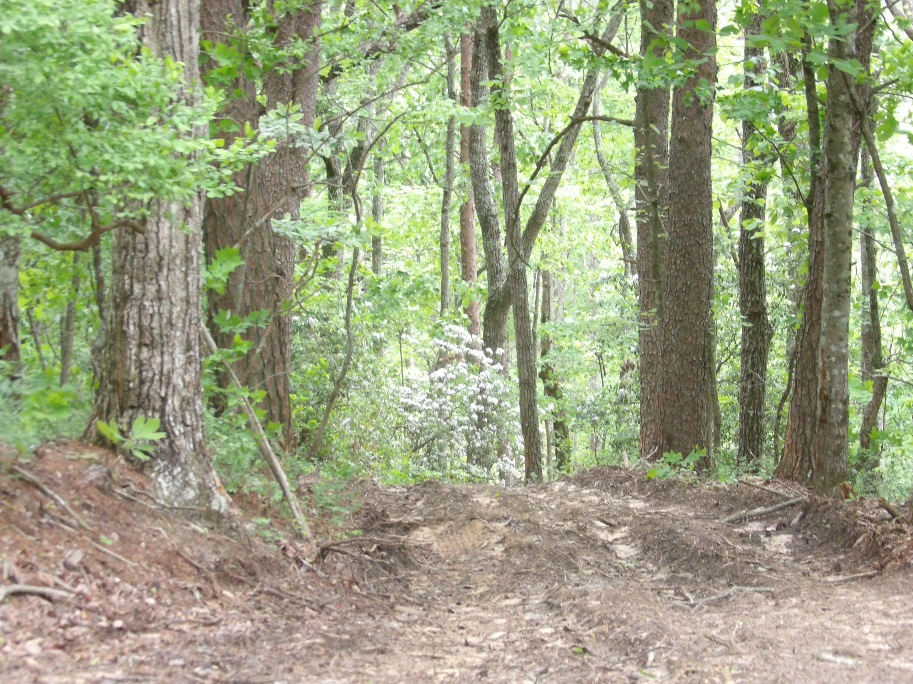000 Overview Road, Crossville, Tennessee image 41