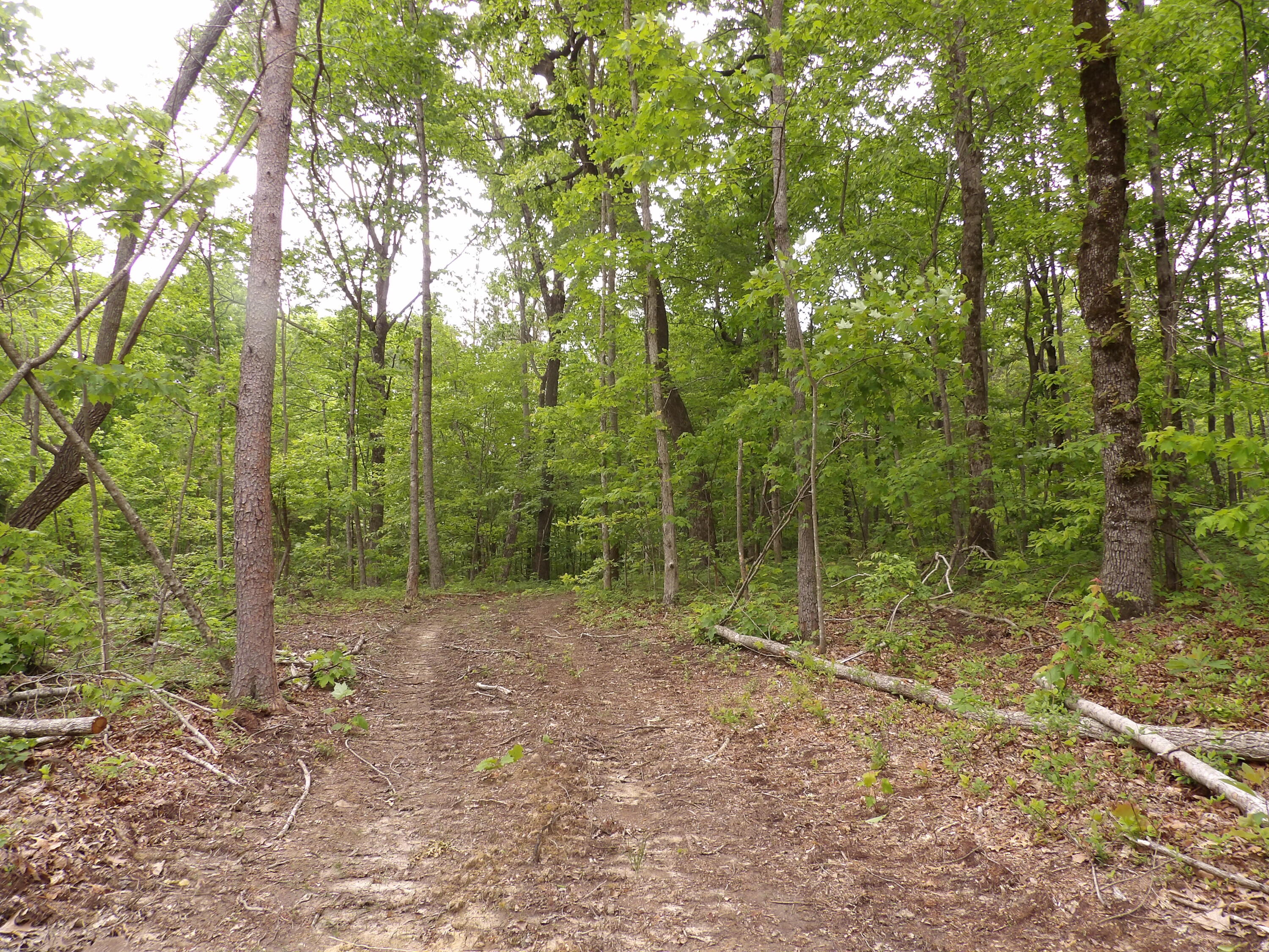 000 Overview Road, Crossville, Tennessee image 19
