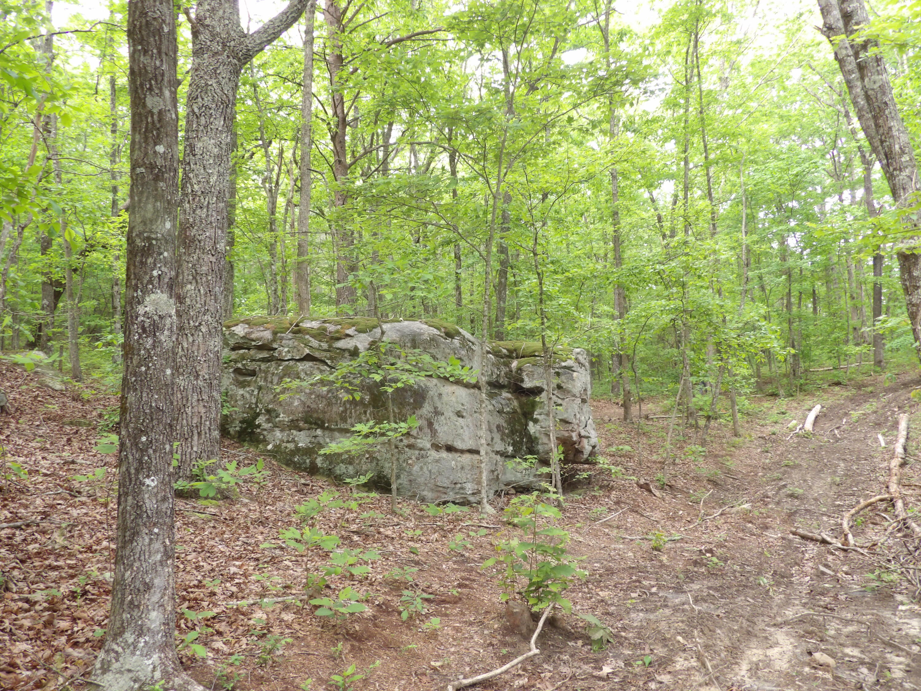 000 Overview Road, Crossville, Tennessee image 6