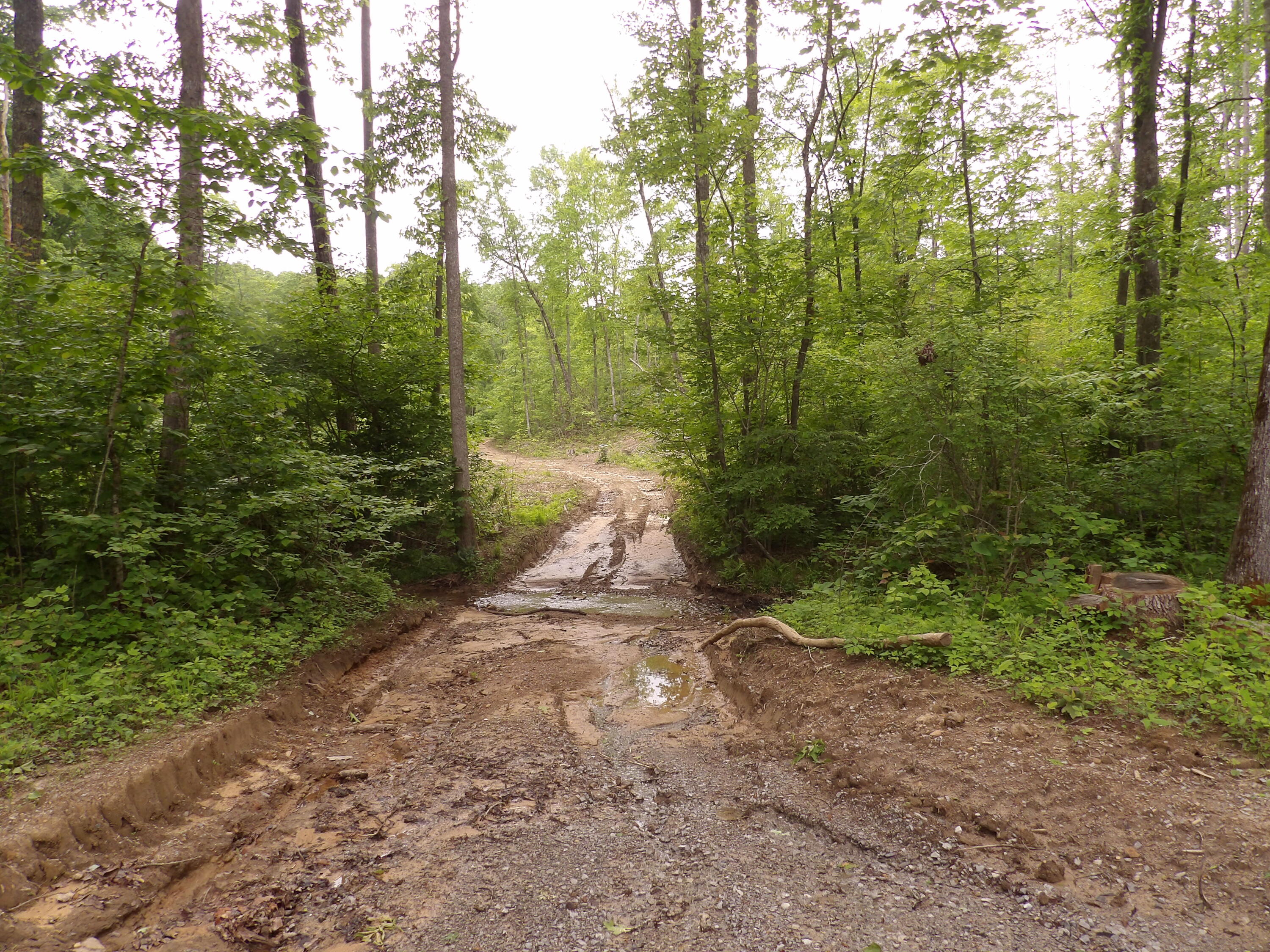 000 Overview Road, Crossville, Tennessee image 4
