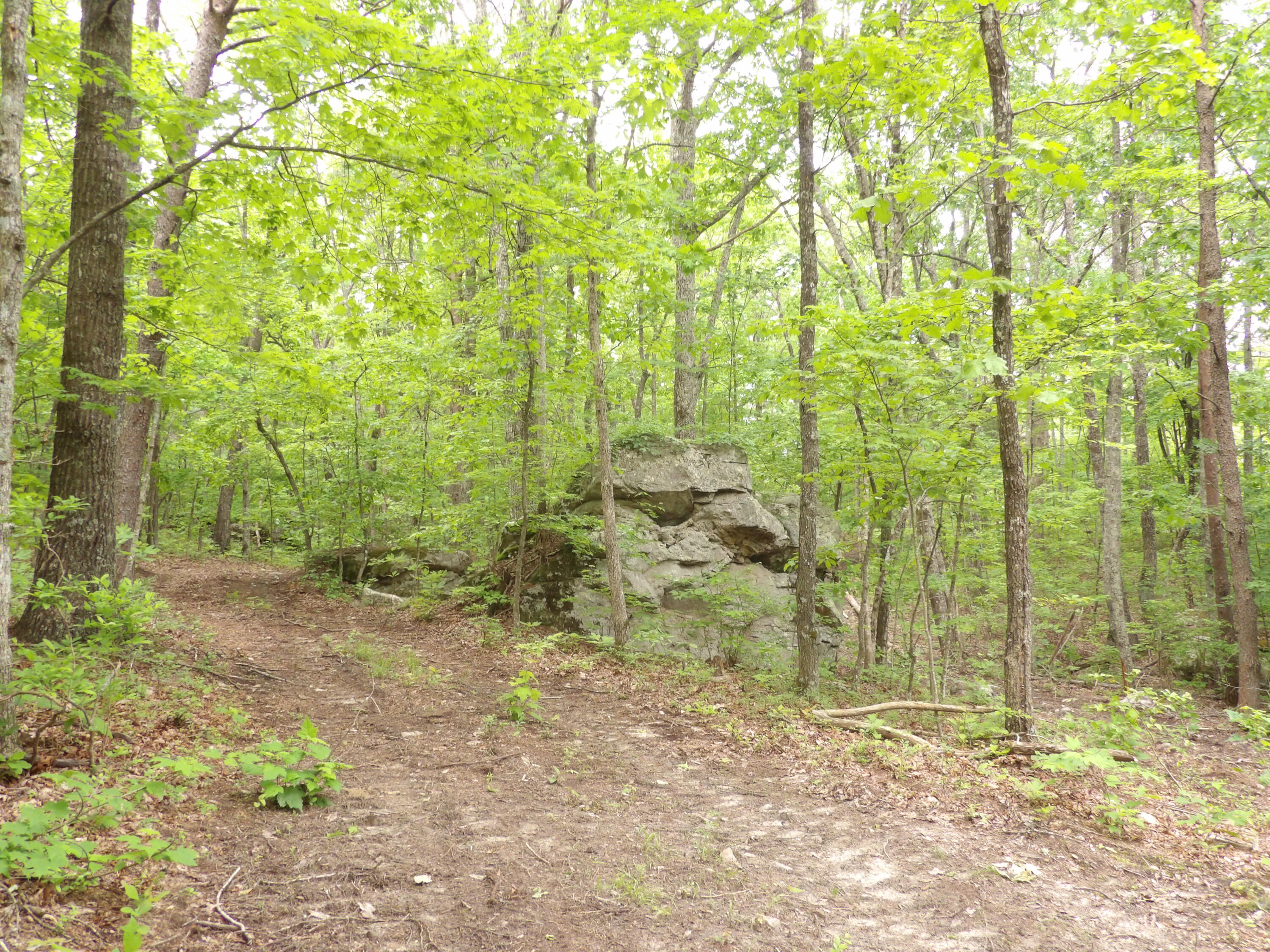 000 Overview Road, Crossville, Tennessee image 31