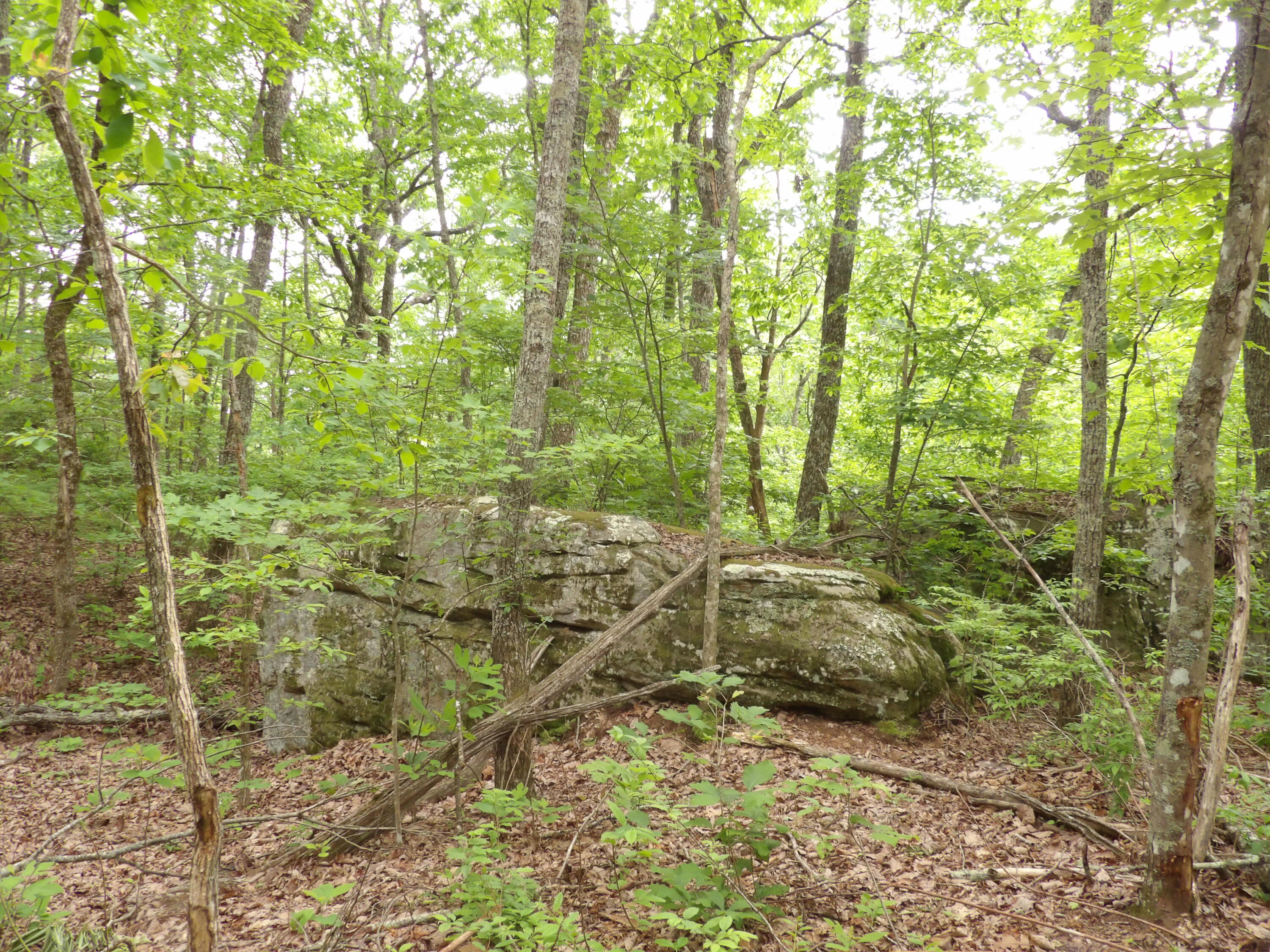 000 Overview Road, Crossville, Tennessee image 33