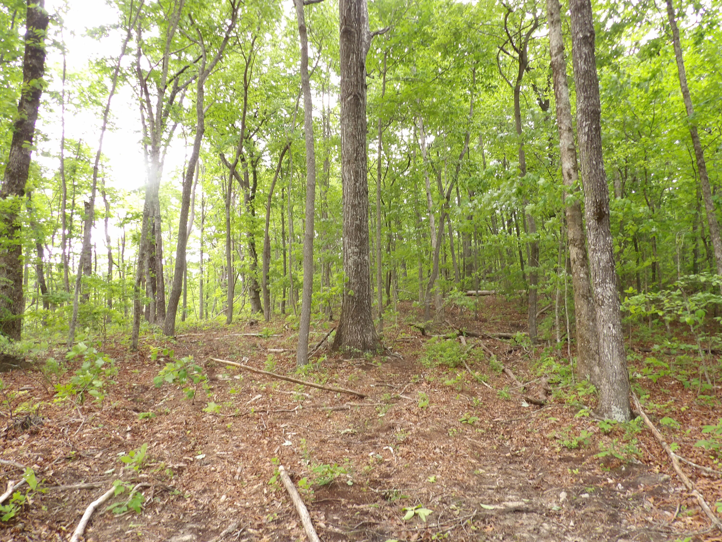 000 Overview Road, Crossville, Tennessee image 23
