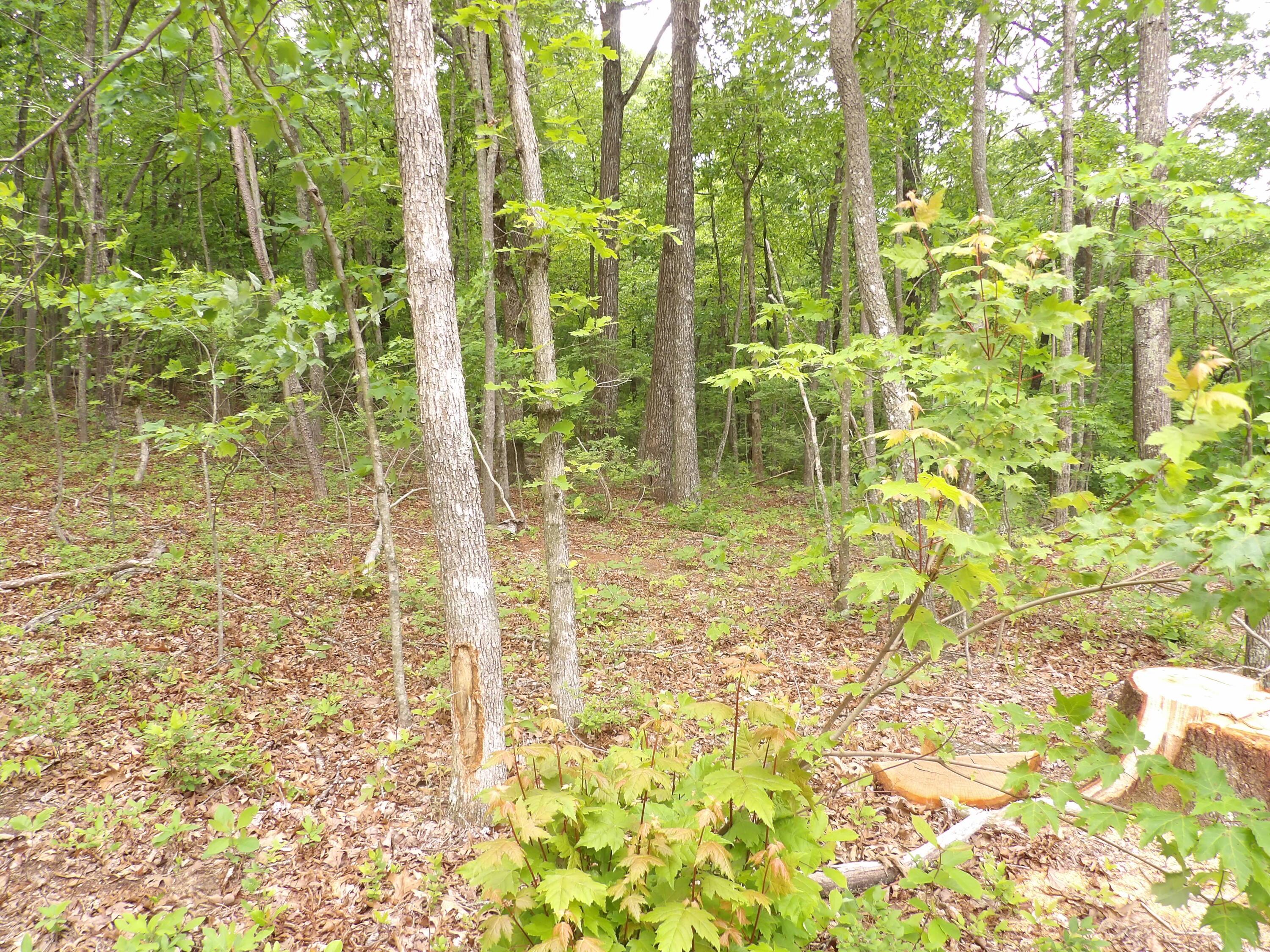 000 Overview Road, Crossville, Tennessee image 21