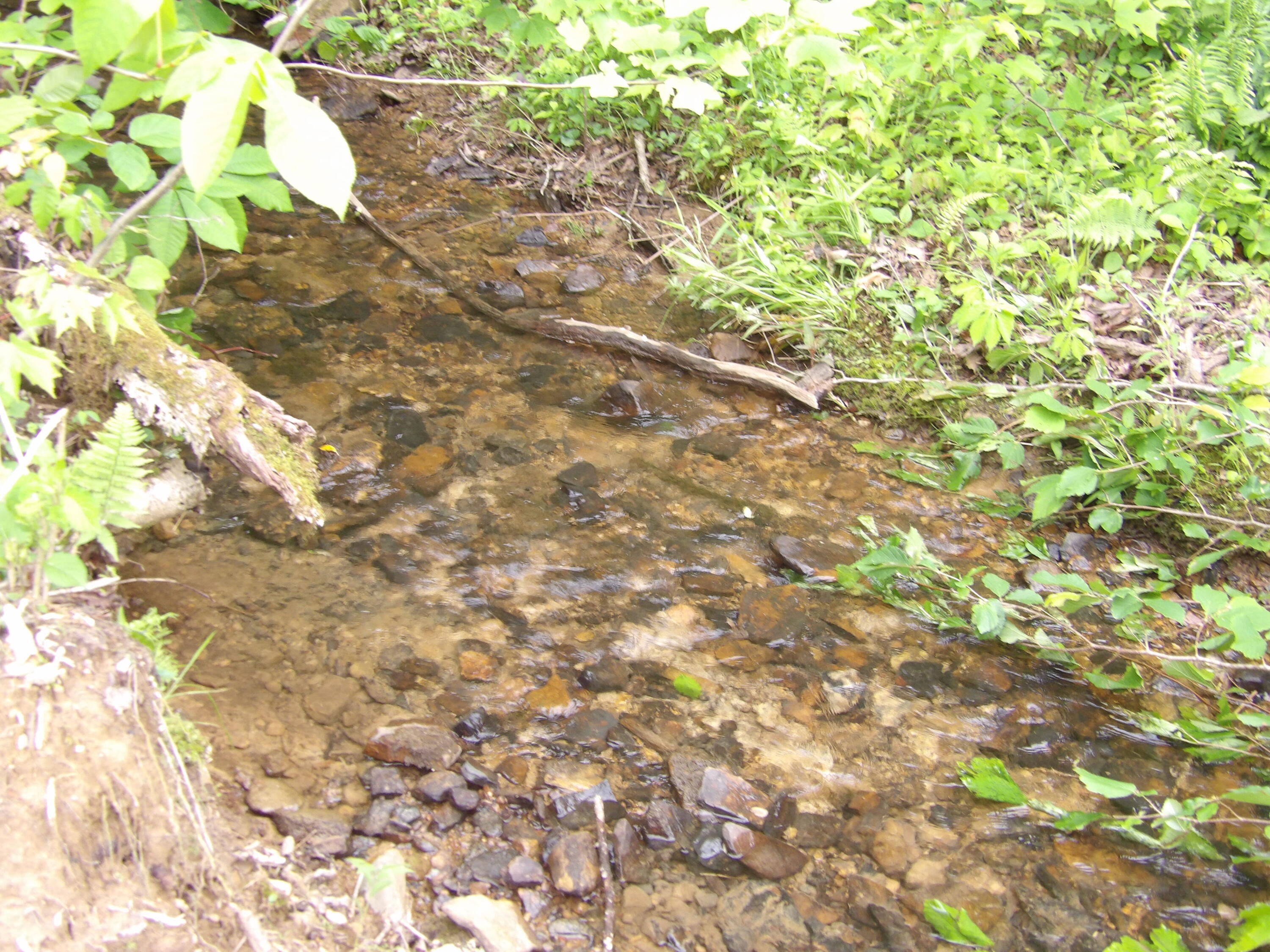 000 Overview Road, Crossville, Tennessee image 3