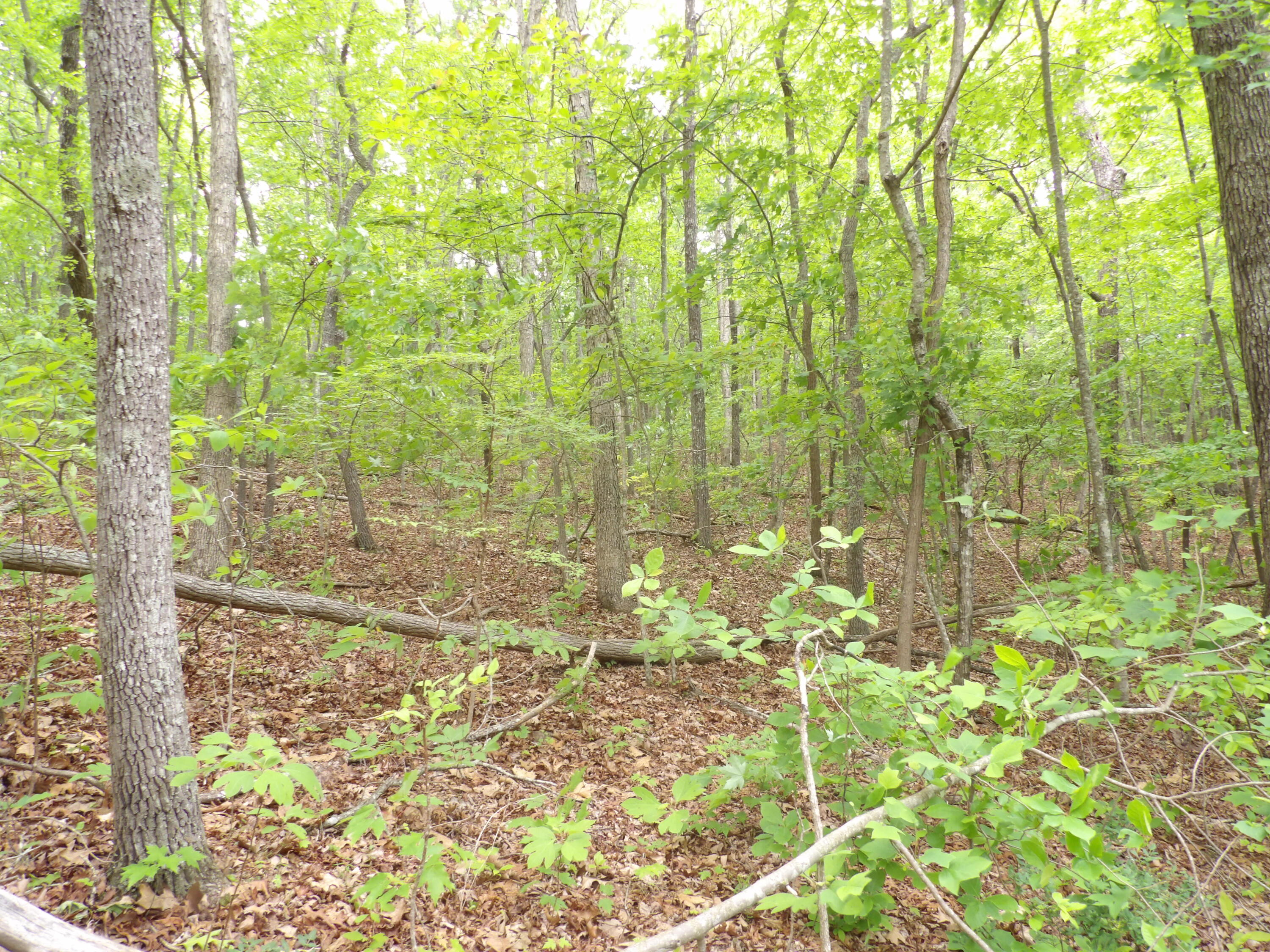 000 Overview Road, Crossville, Tennessee image 28