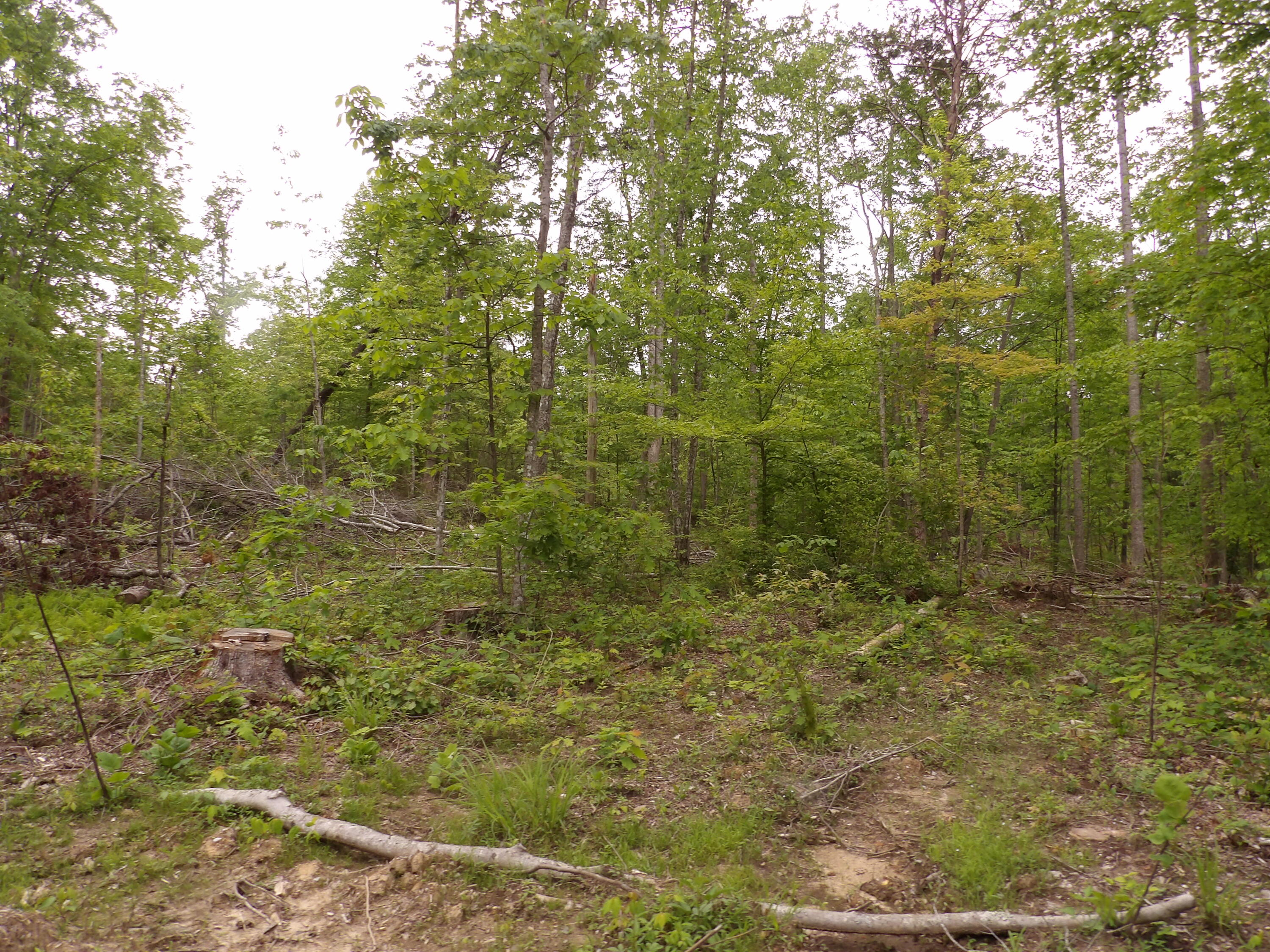 000 Overview Road, Crossville, Tennessee image 10