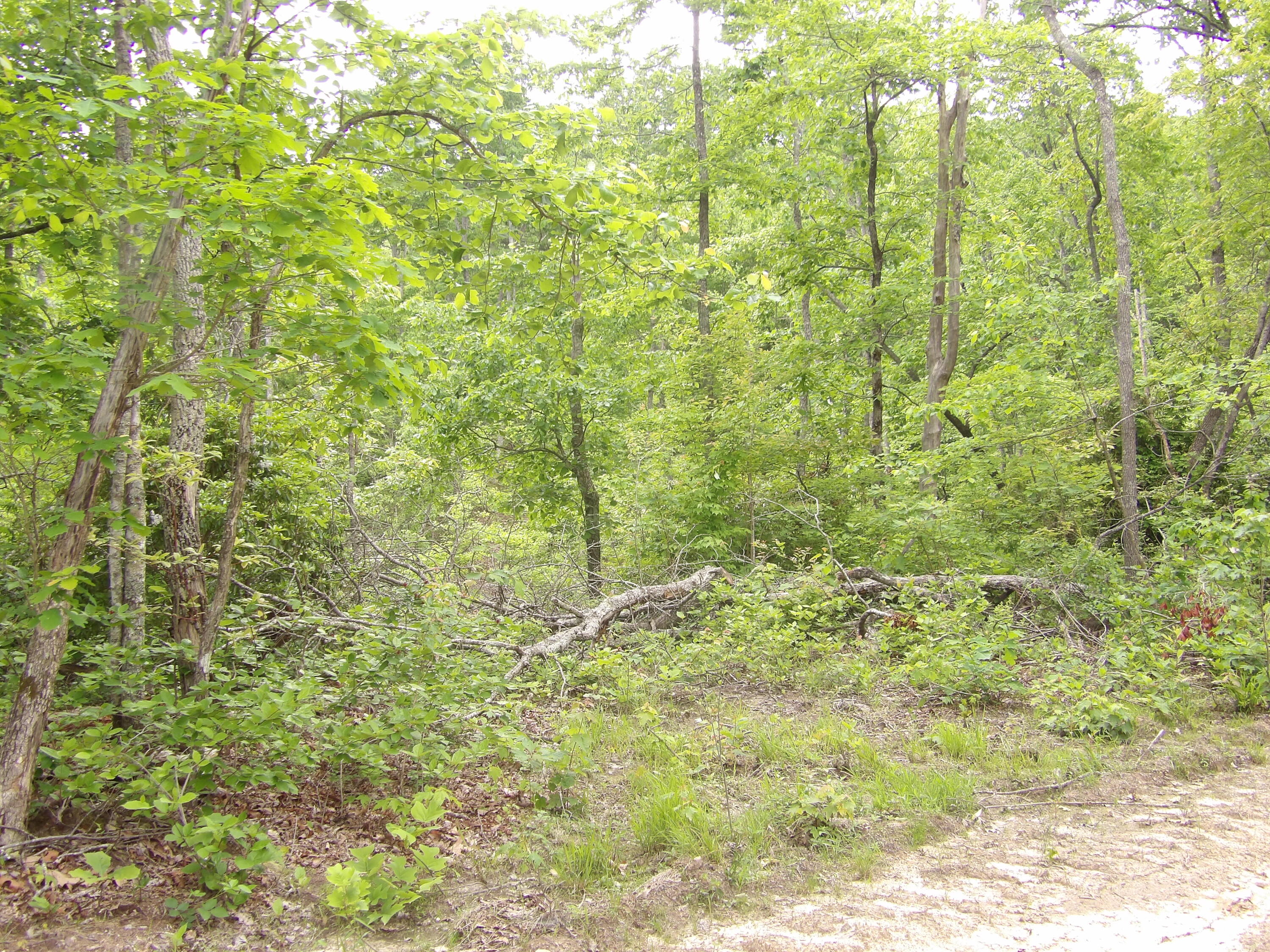 000 Overview Road, Crossville, Tennessee image 16