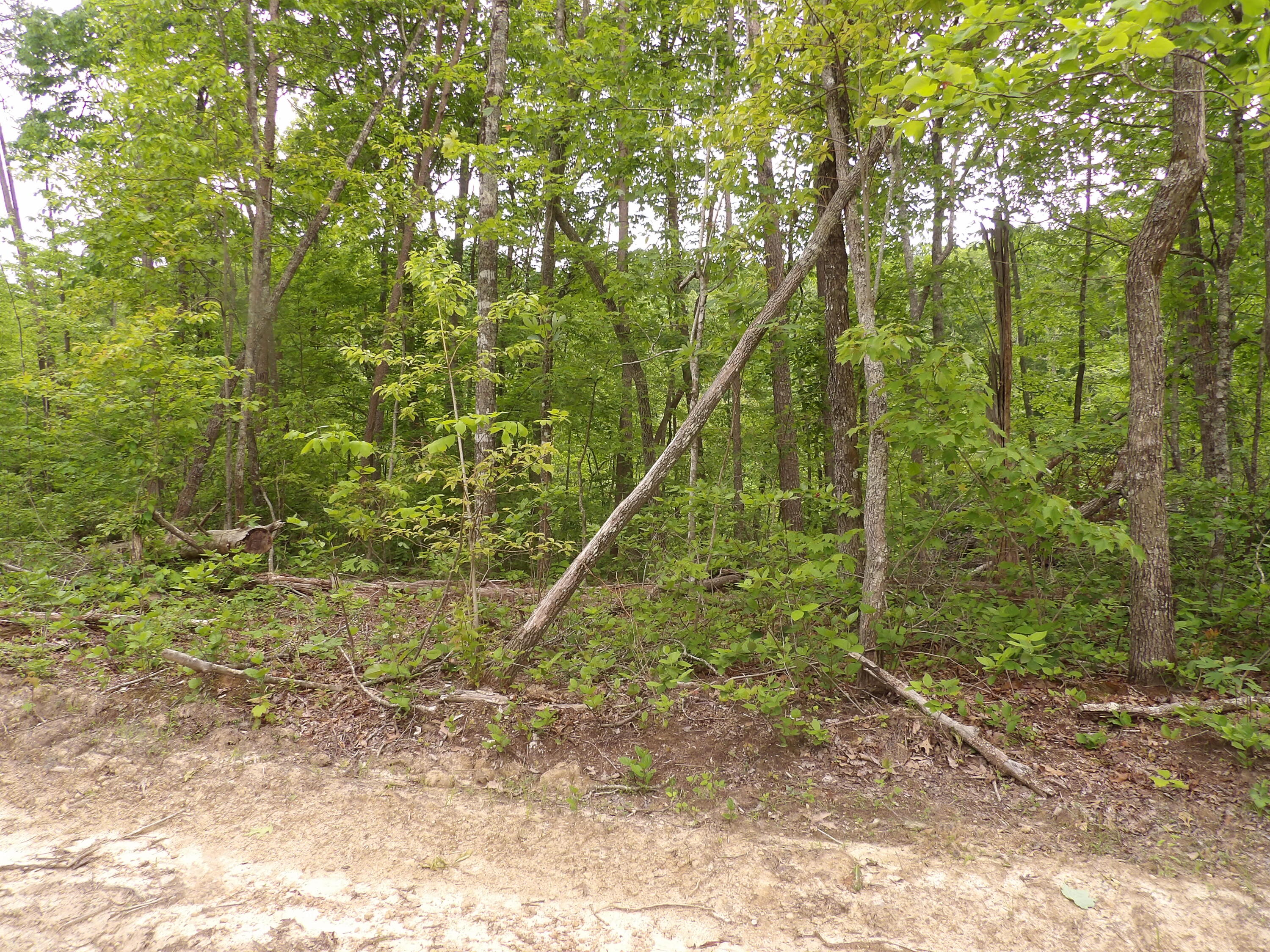 000 Overview Road, Crossville, Tennessee image 17