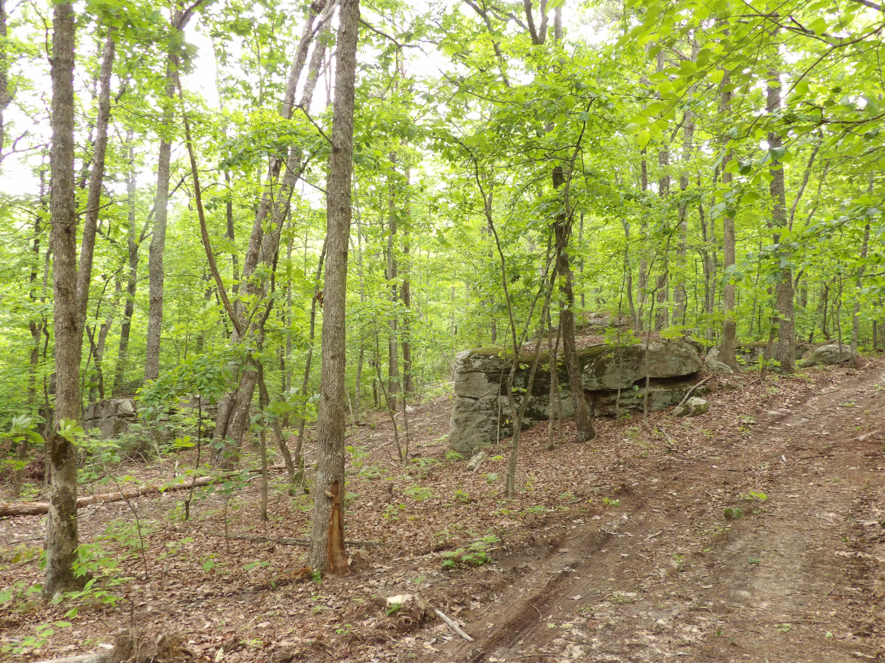 000 Overview Road, Crossville, Tennessee image 35