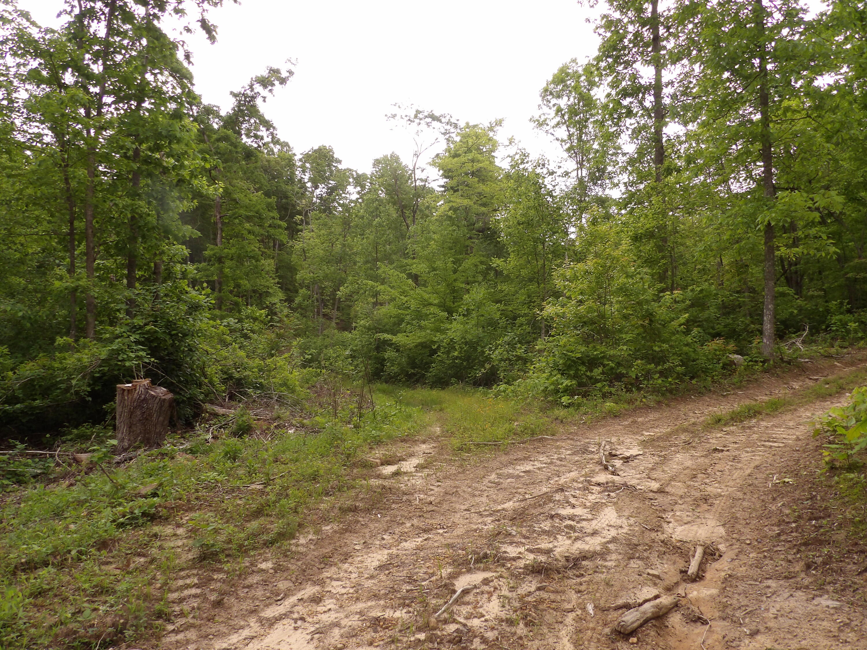 000 Overview Road, Crossville, Tennessee image 45