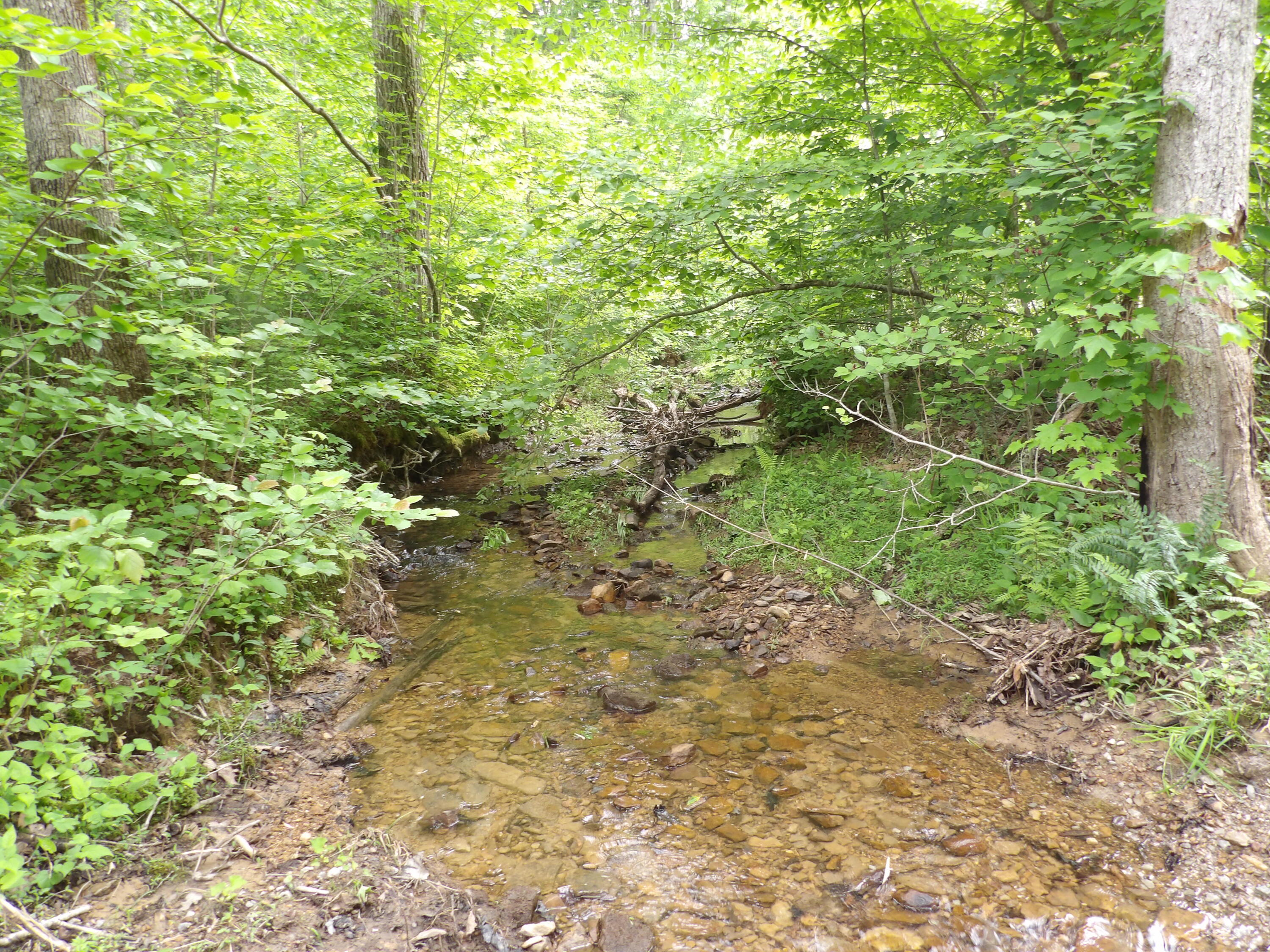 000 Overview Road, Crossville, Tennessee image 8