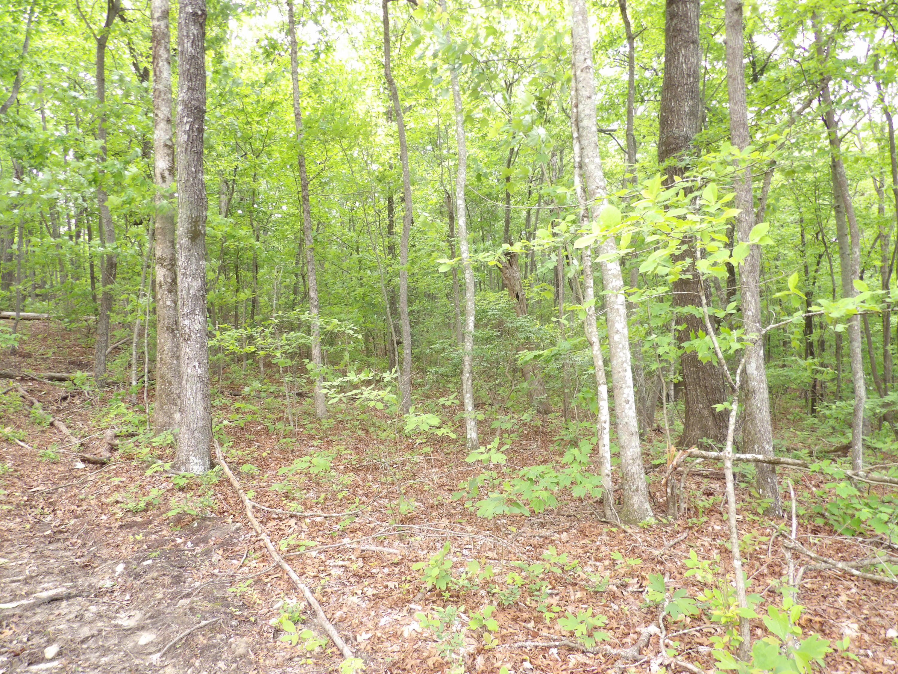 000 Overview Road, Crossville, Tennessee image 24