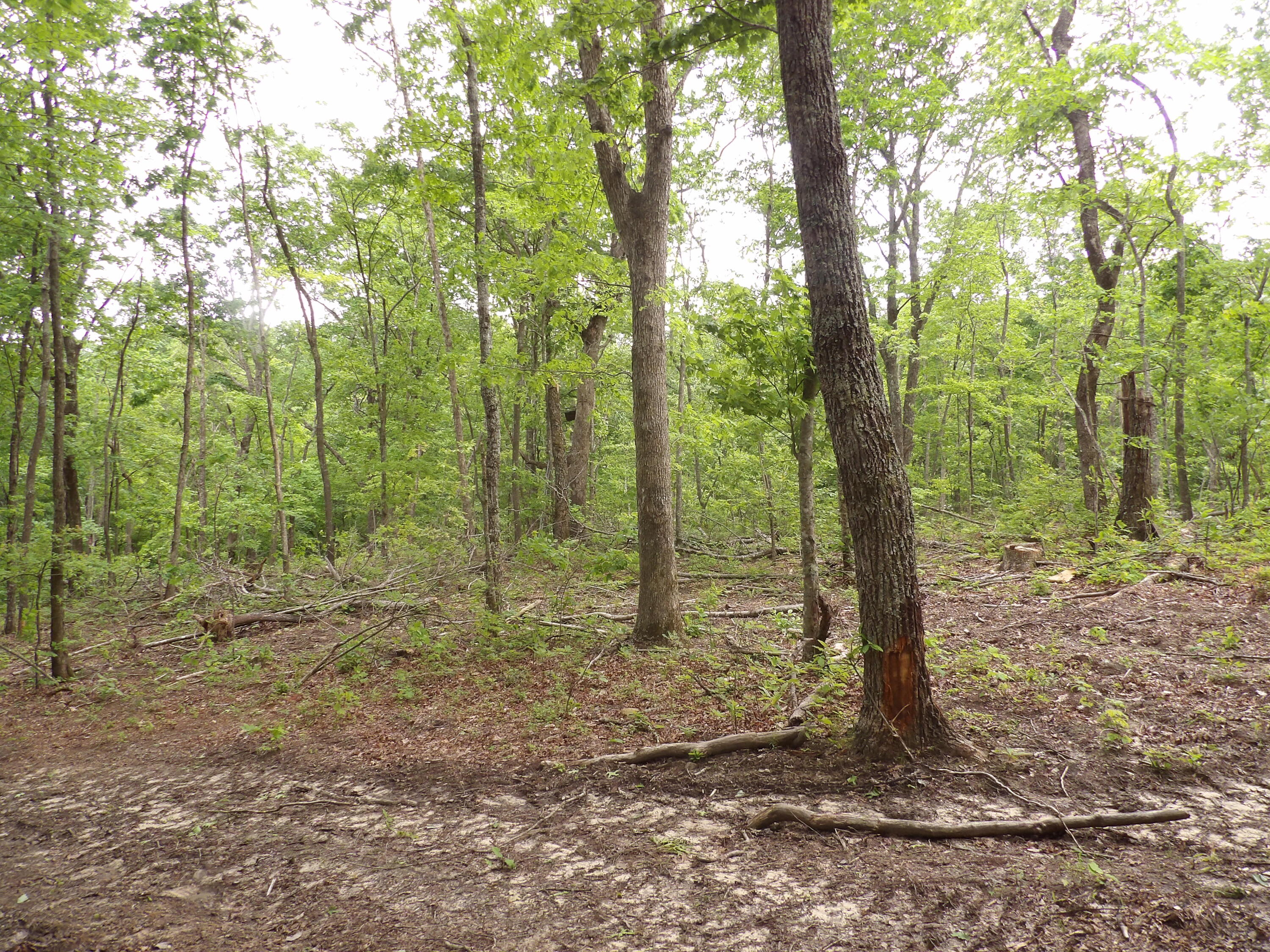 000 Overview Road, Crossville, Tennessee image 25