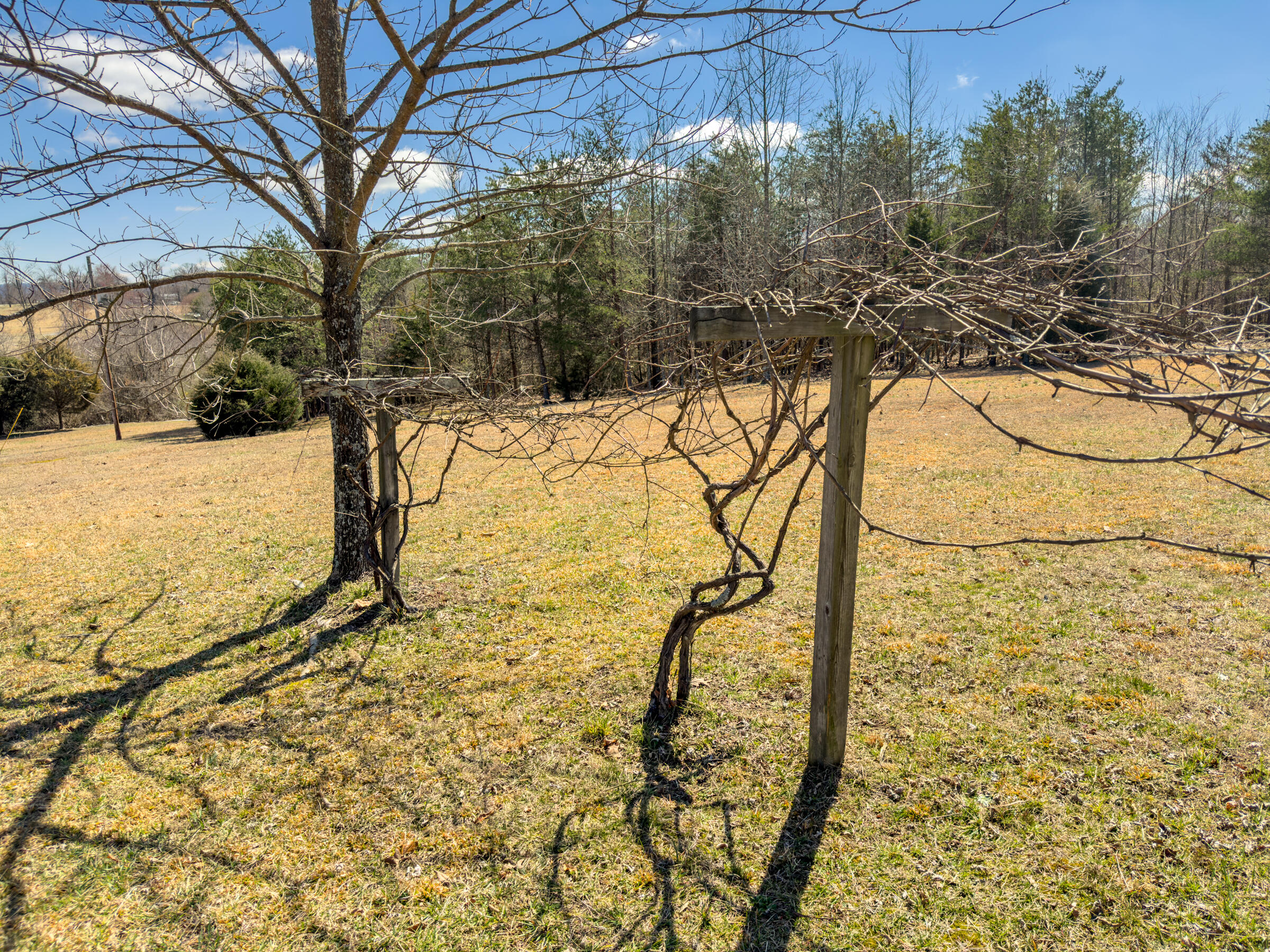 361 Bible Camp Road, Trenton, Georgia image 50