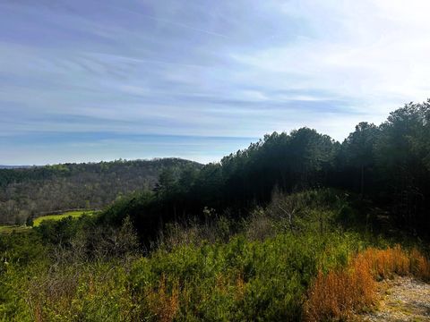 Photo of Tract 7 SW Owl Hollow Road, McDonald, TN 37353 (MLS # 1531553)