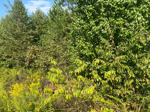 Tiny photo for 1601 Short Leaf Lane, Soddy Daisy, TN 37379 (MLS # 1520752)