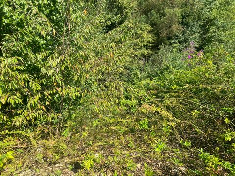 Tiny photo for 1601 Short Leaf Lane, Soddy Daisy, TN 37379 (MLS # 1520752)