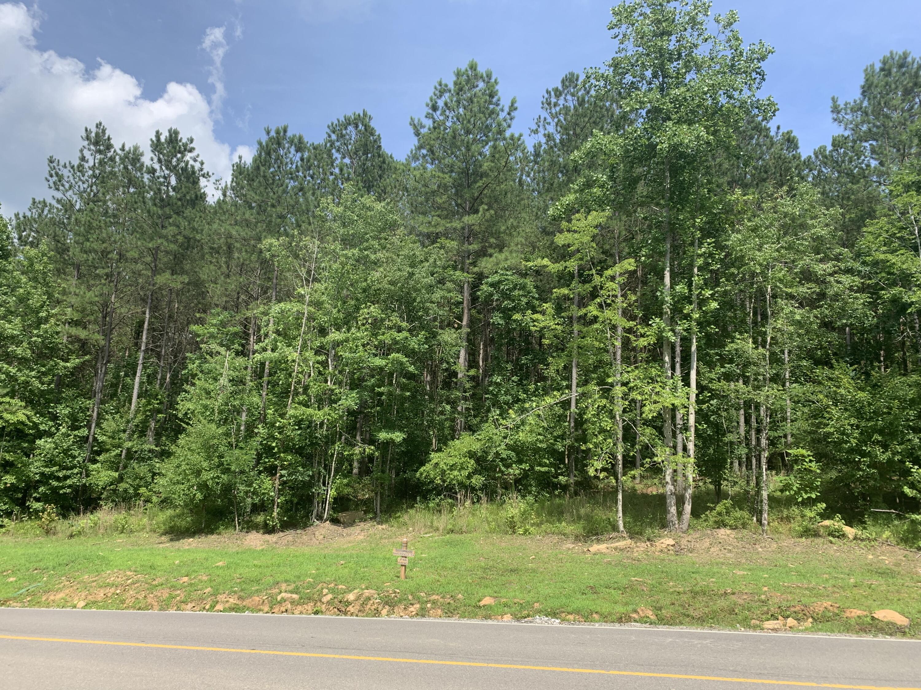 4910 Raulston Falls Road #JF-106, Jasper, Tennessee image 7