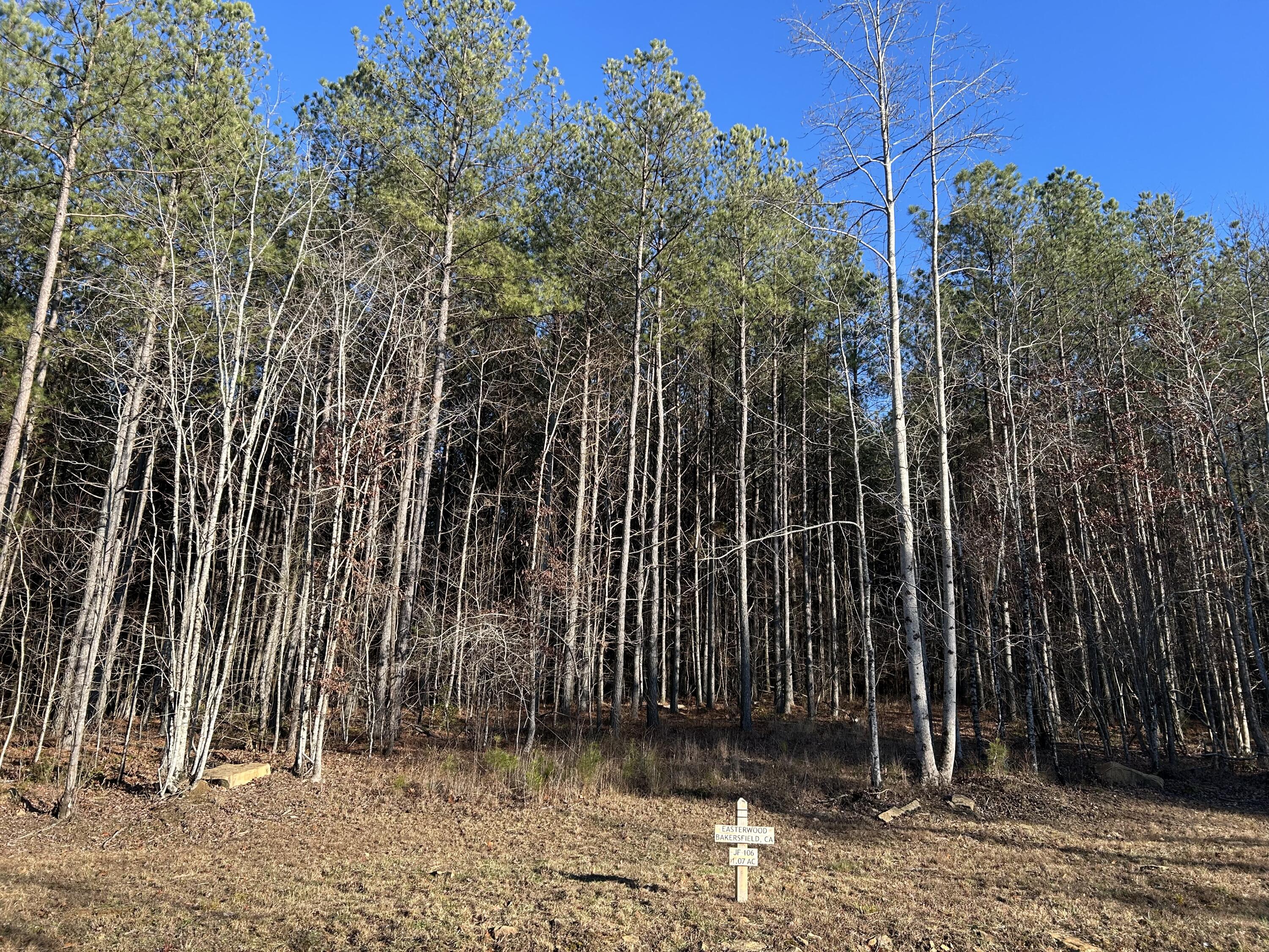 4910 Raulston Falls Road #JF-106, Jasper, Tennessee image 33