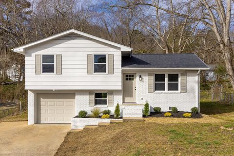 Photo of 511 White Road, Chattanooga, TN 37421 (MLS # 1525138)