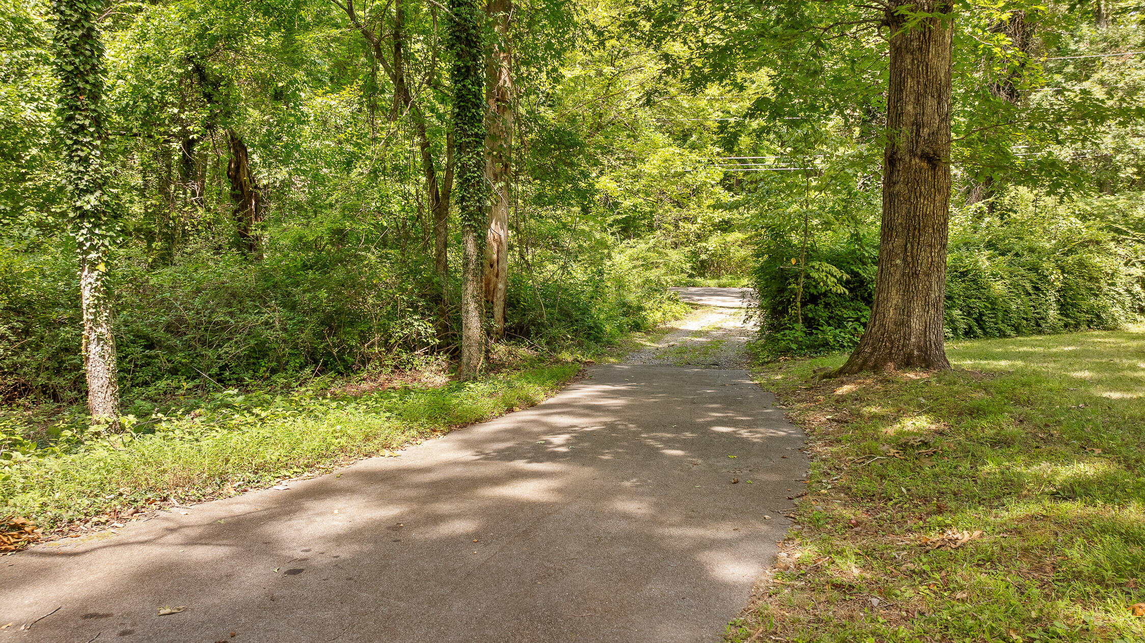 4414 Chestnut Avenue, Signal Mountain, Tennessee image 4