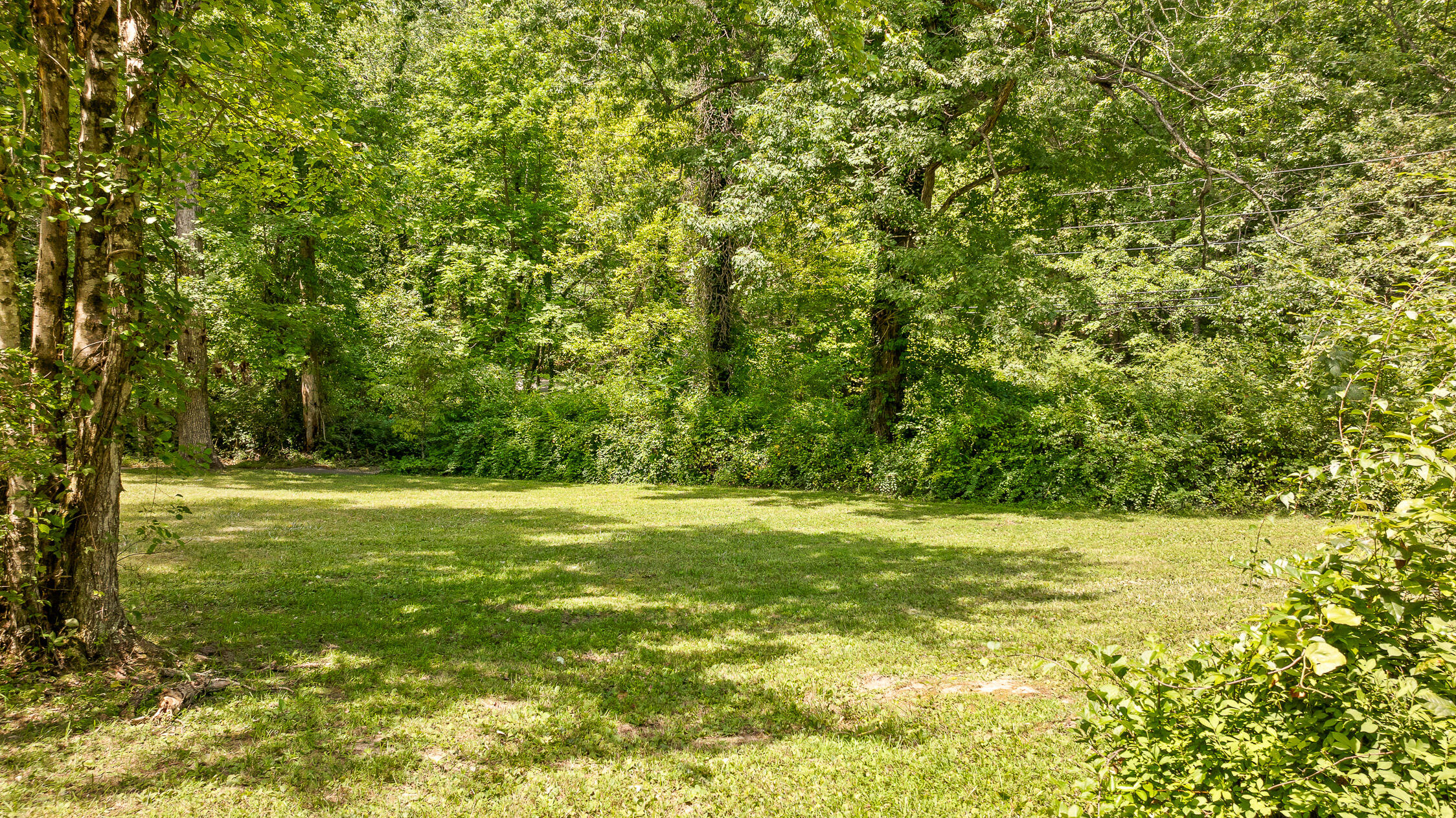 4414 Chestnut Avenue, Signal Mountain, Tennessee image 1