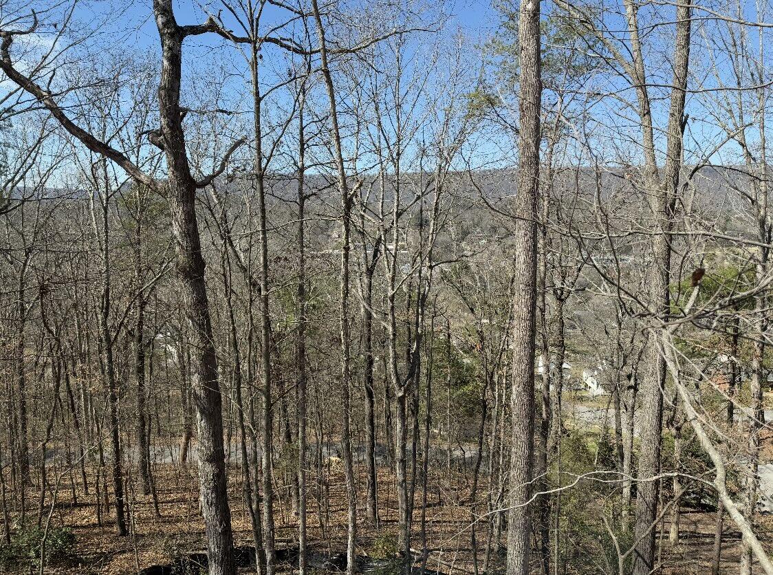 3563 Knollwood Hill Drive Lt 2, Chattanooga, Tennessee image 1