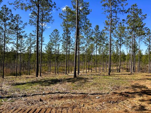 Tiny photo for Tract 26a Hughes Lake Road Se, Cleveland, TN 37323 (MLS # 1510787)