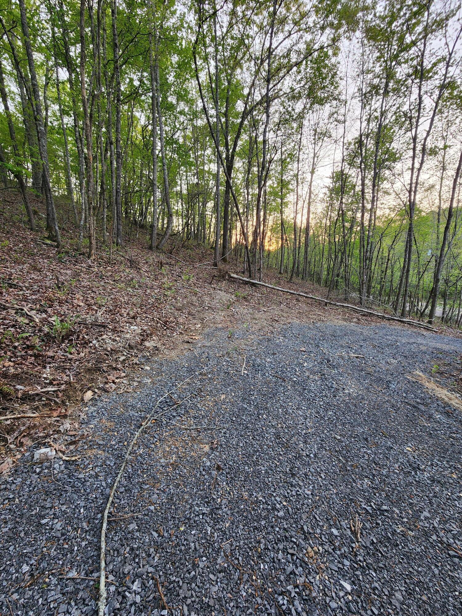 4622 Parker Loop Road, Birchwood, Tennessee image 2