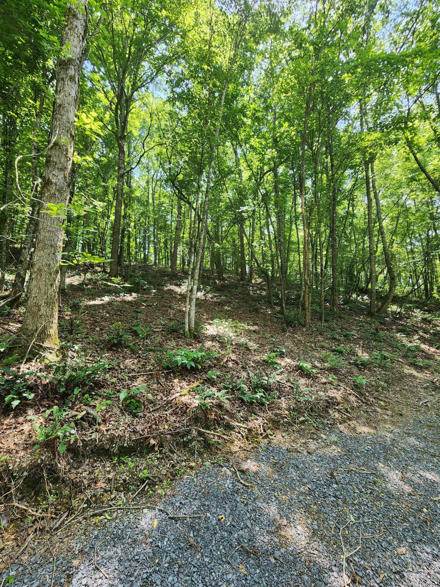 4622 Parker Loop Road, Birchwood, Tennessee image 16