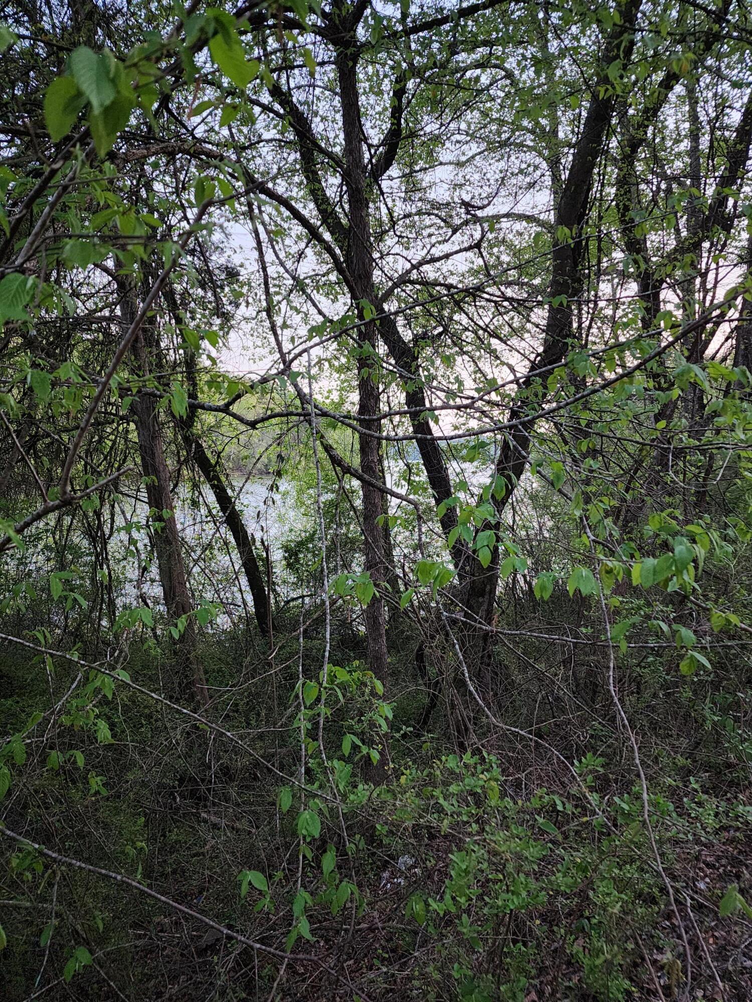 4622 Parker Loop Road, Birchwood, Tennessee image 4