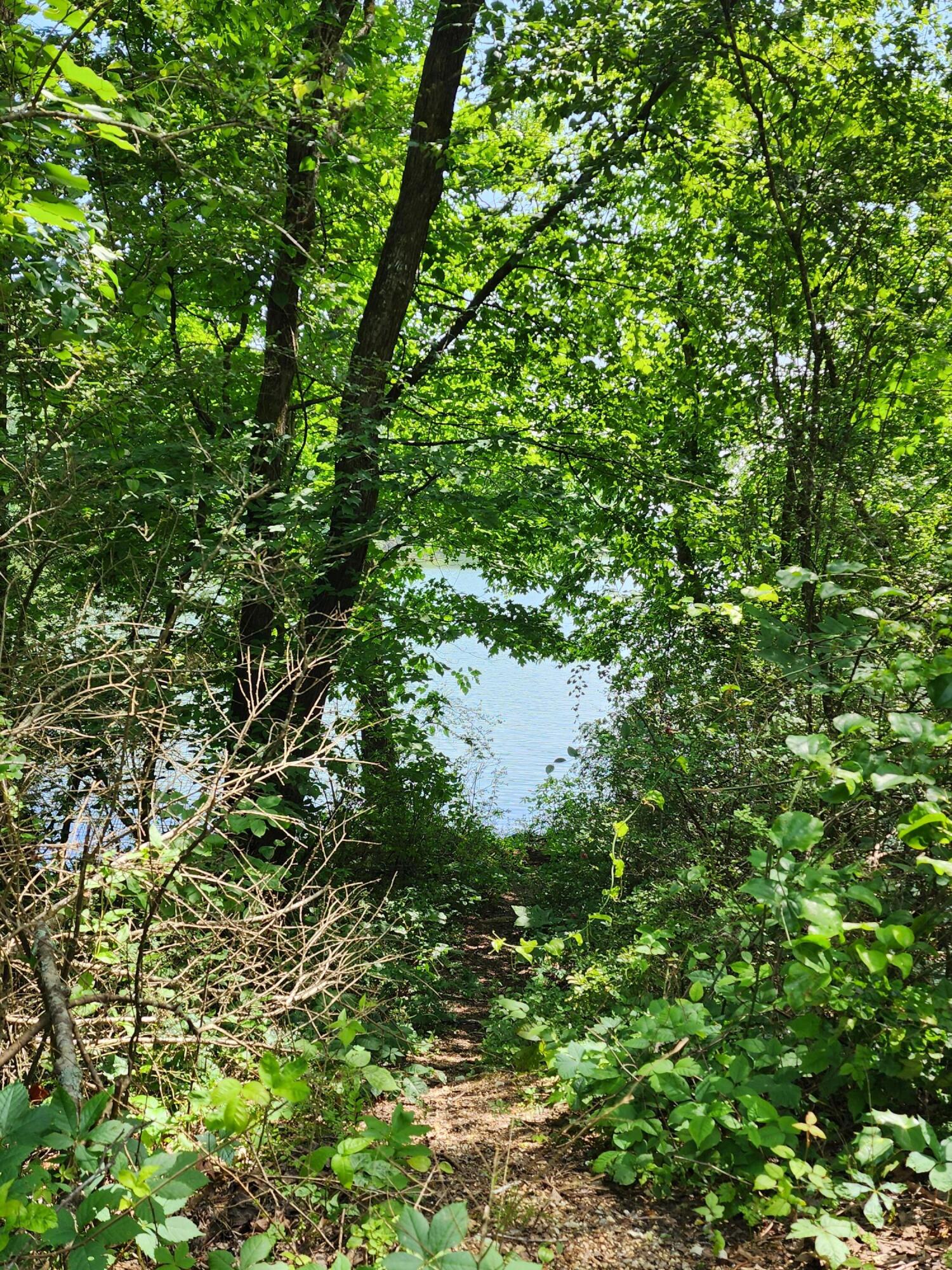 4622 Parker Loop Road, Birchwood, Tennessee image 14