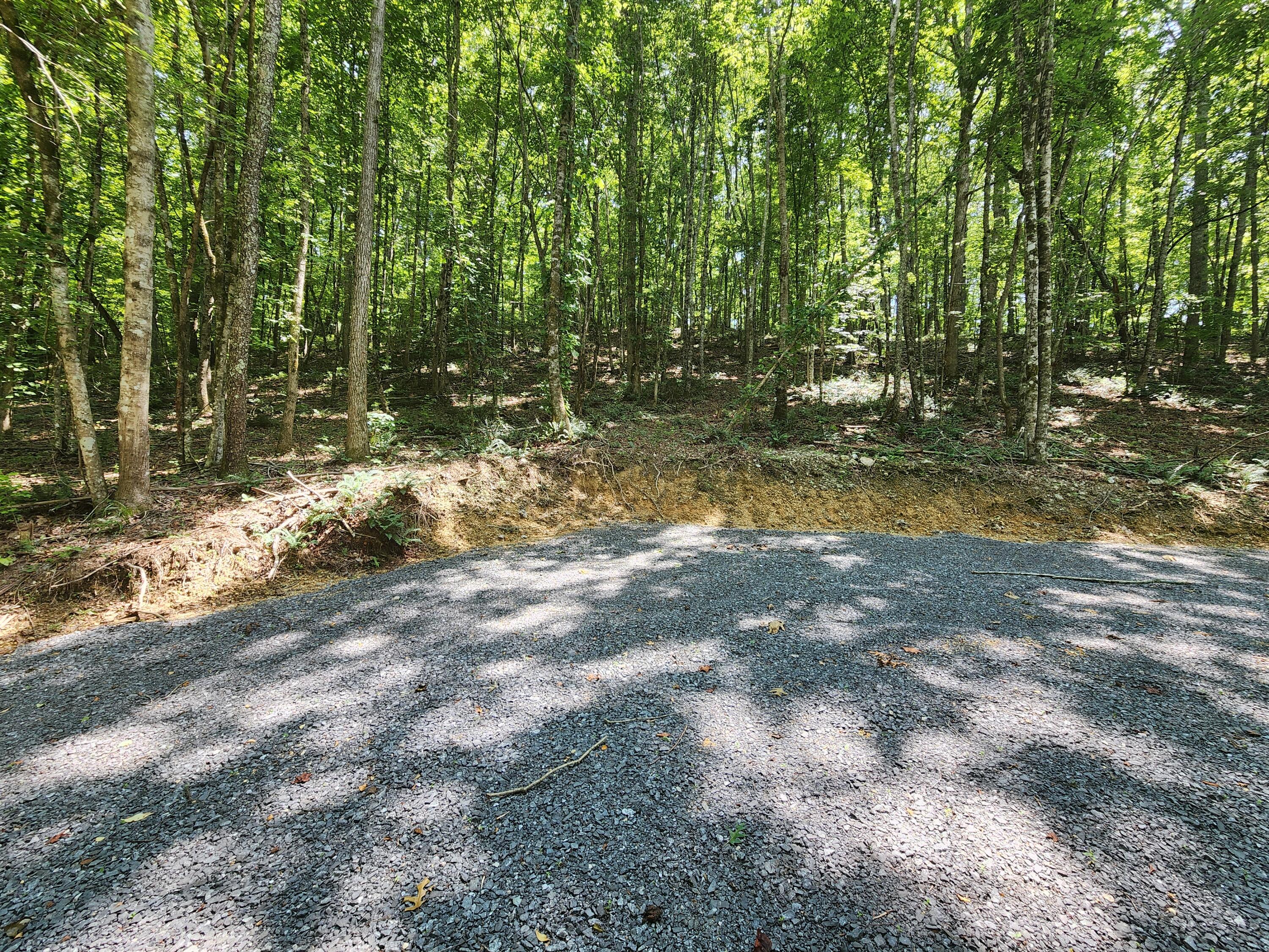 4622 Parker Loop Road, Birchwood, Tennessee image 25