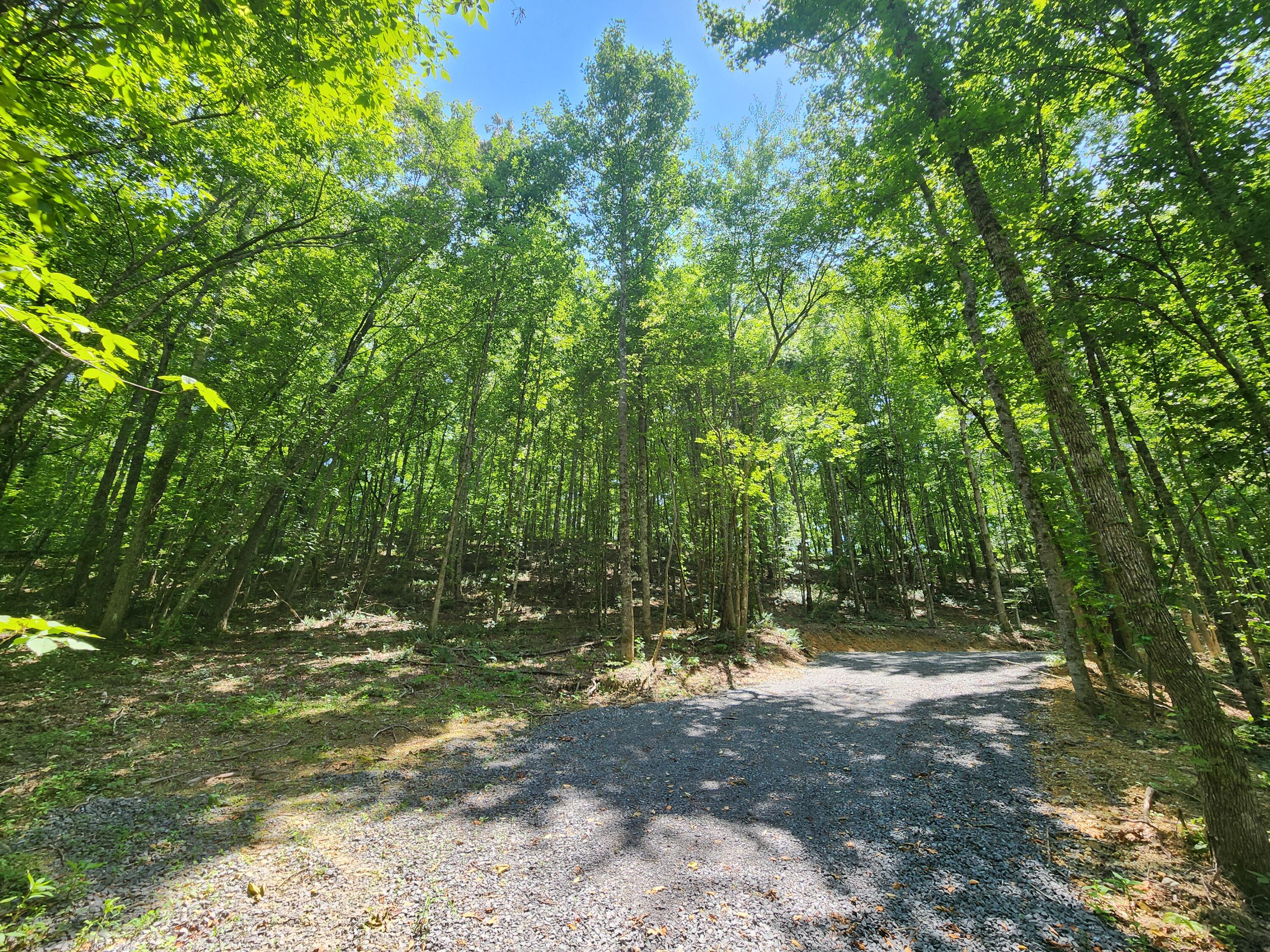 4622 Parker Loop Road, Birchwood, Tennessee image 26