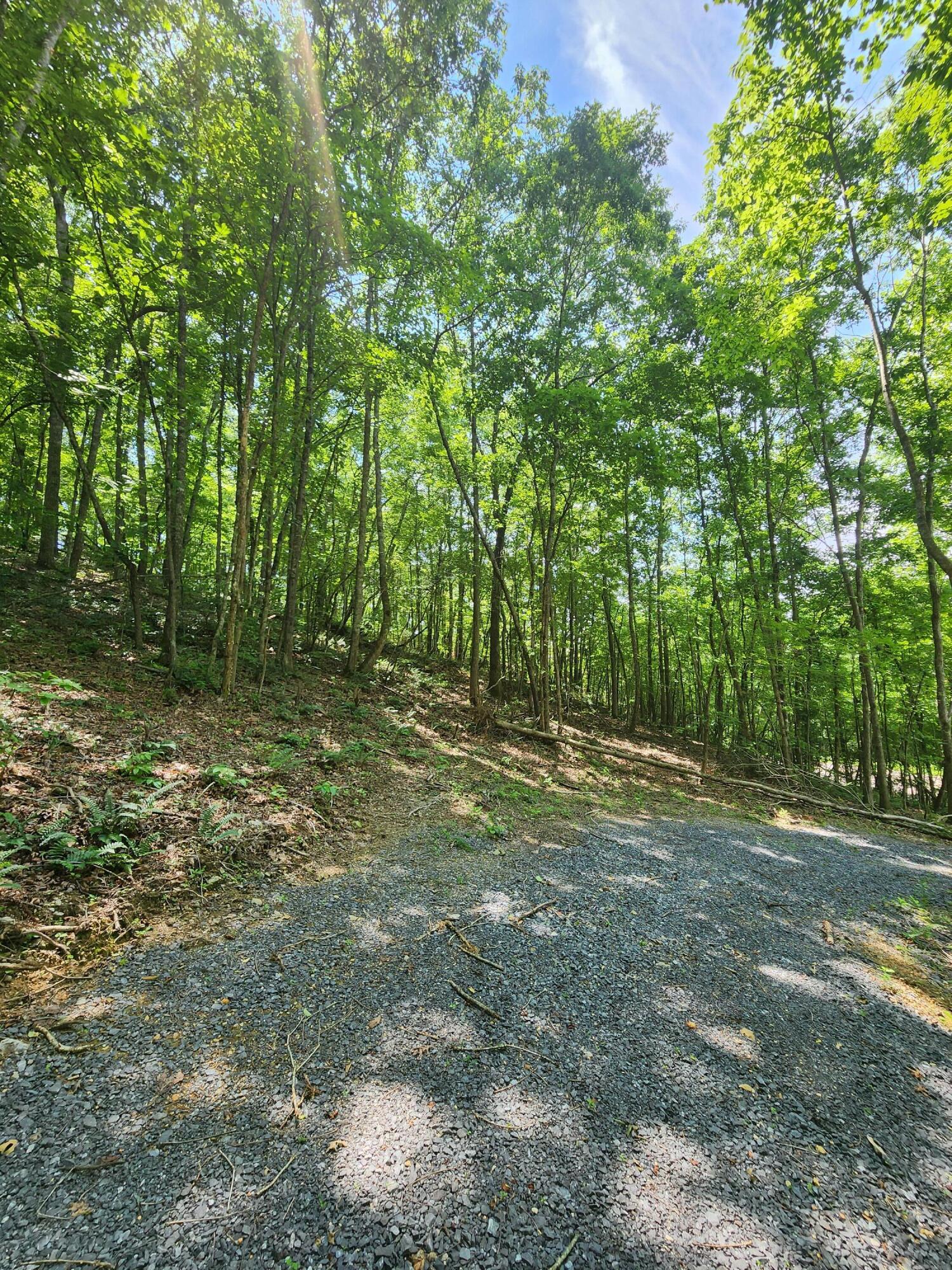 4622 Parker Loop Road, Birchwood, Tennessee image 19