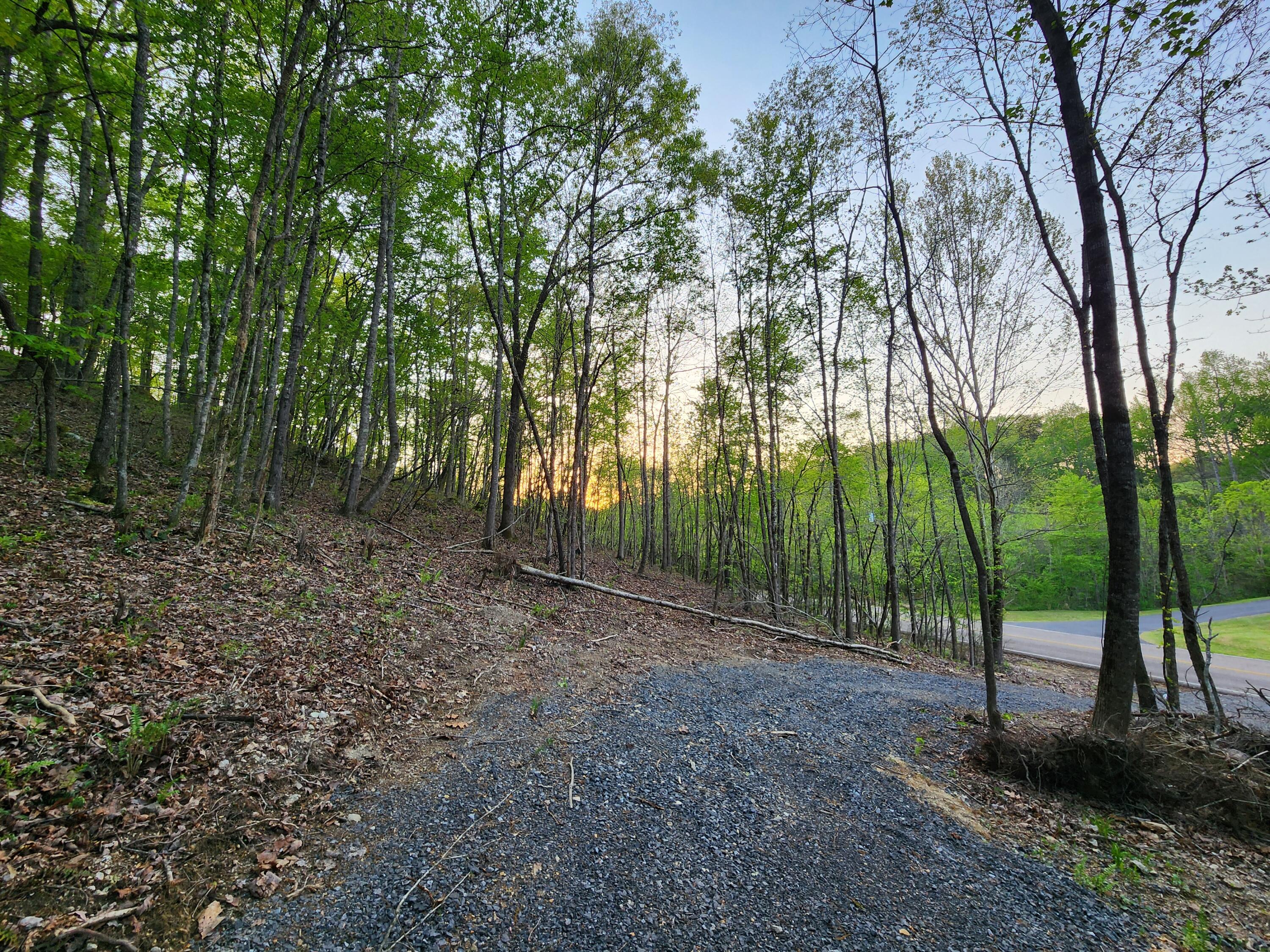 4622 Parker Loop Road, Birchwood, Tennessee image 10