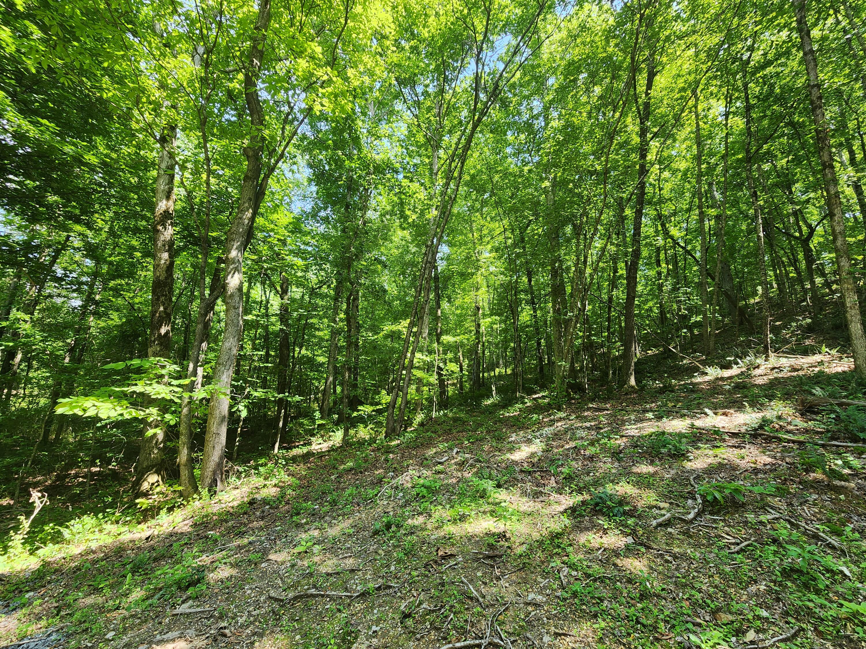 4622 Parker Loop Road, Birchwood, Tennessee image 23