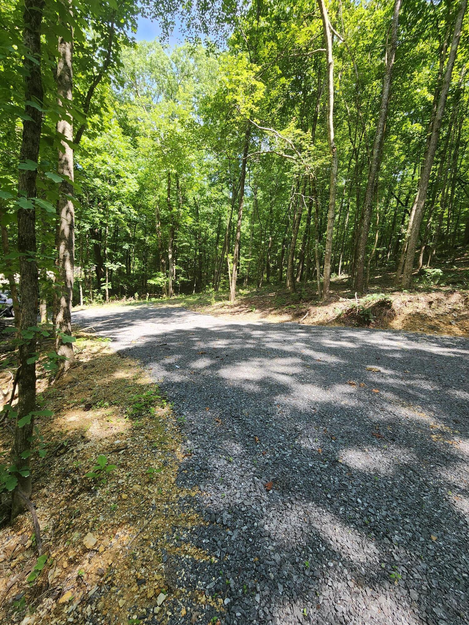 4622 Parker Loop Road, Birchwood, Tennessee image 20