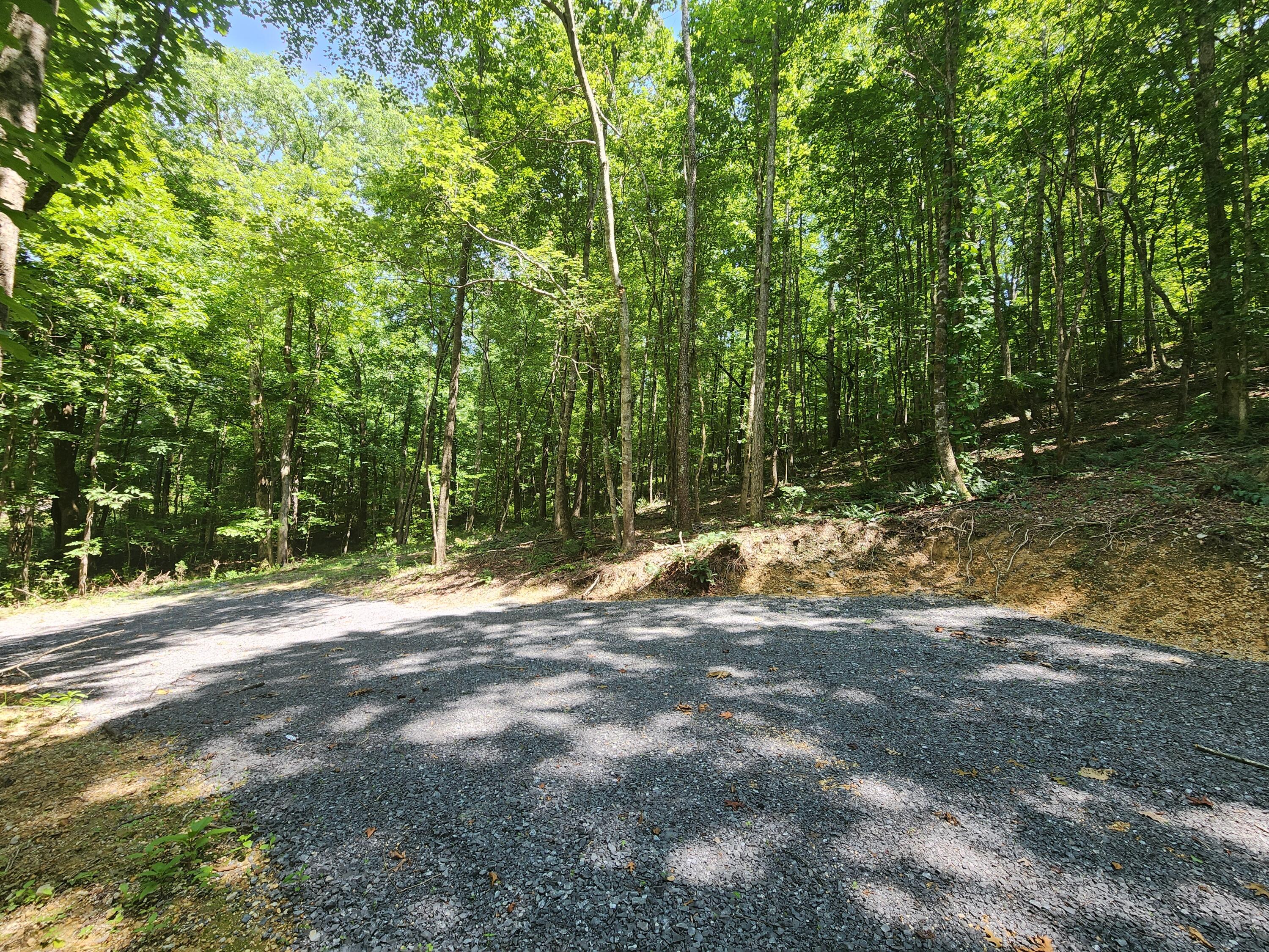 4622 Parker Loop Road, Birchwood, Tennessee image 17