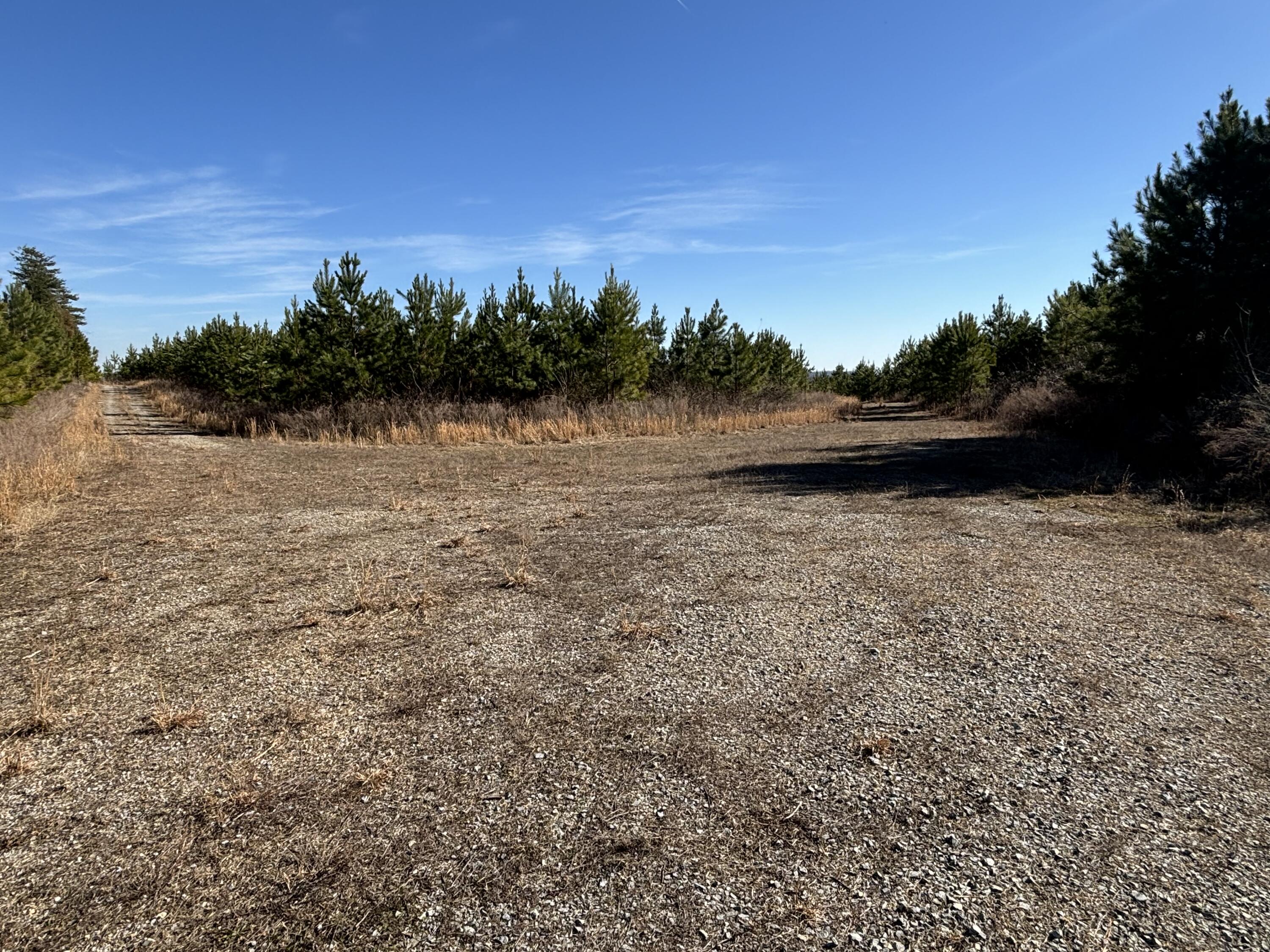 Dividing Ridge Road, Spring City, Tennessee image 15