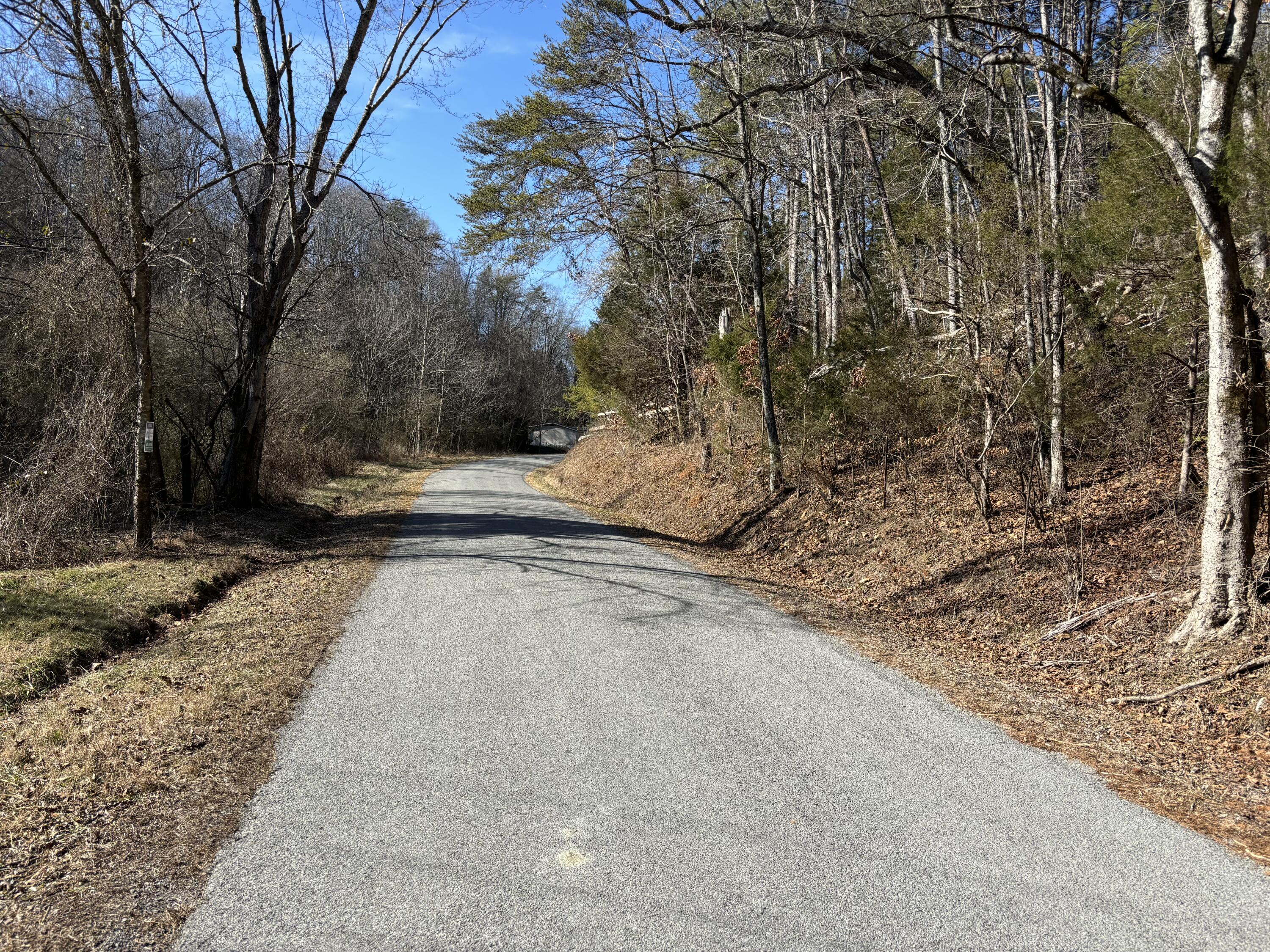 Dividing Ridge Road, Spring City, Tennessee image 25