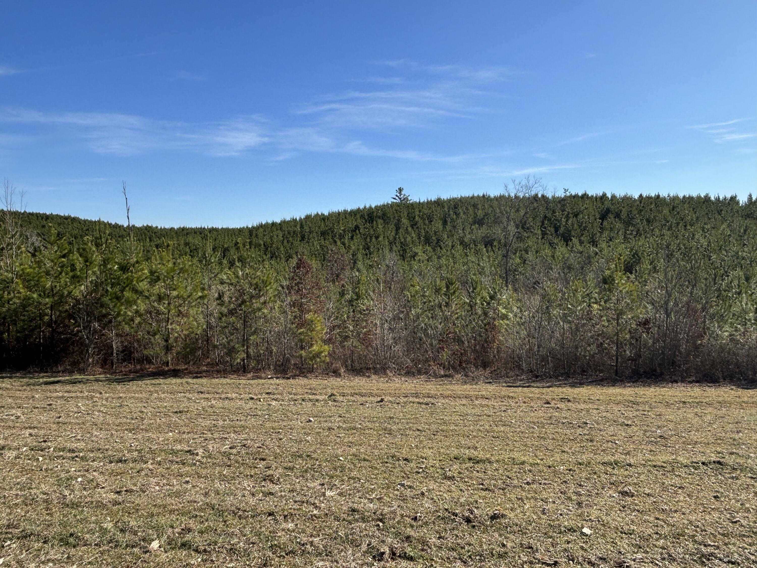 Dividing Ridge Road, Spring City, Tennessee image 12